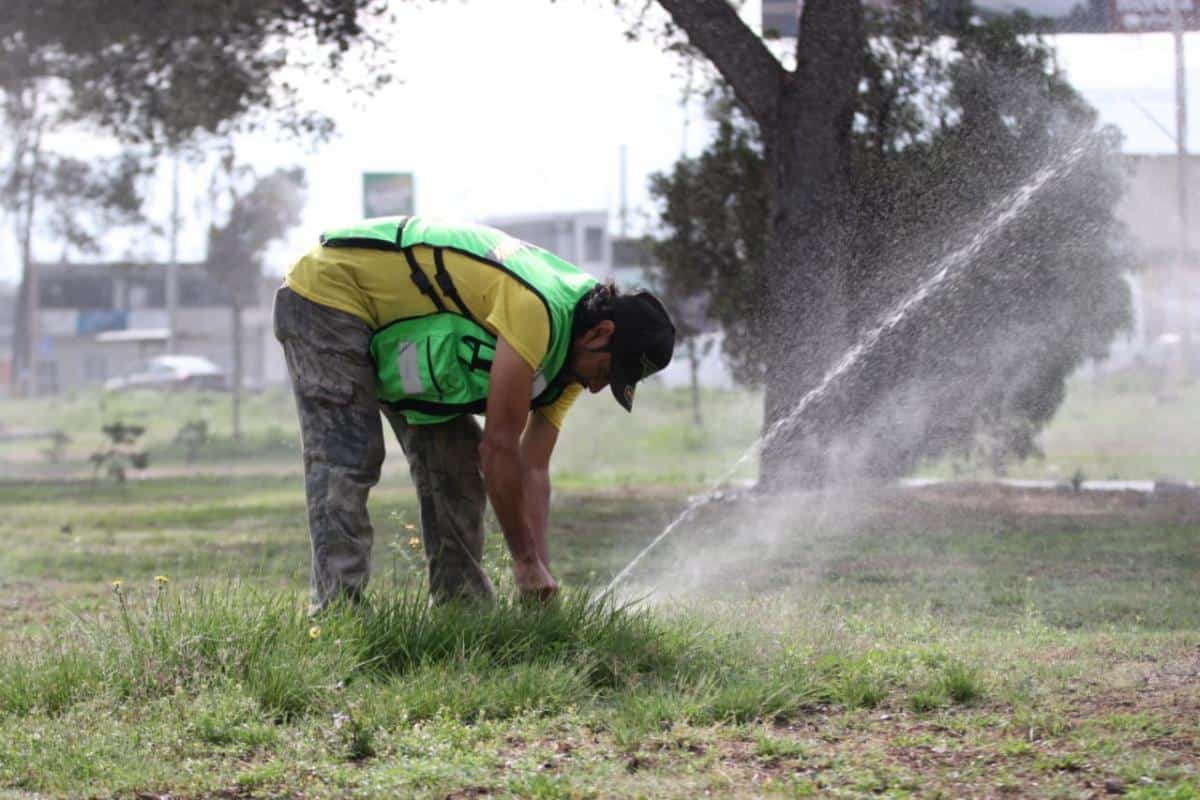 Limpieza profunda en Lomas Verdes para fortalecer la seguridad
