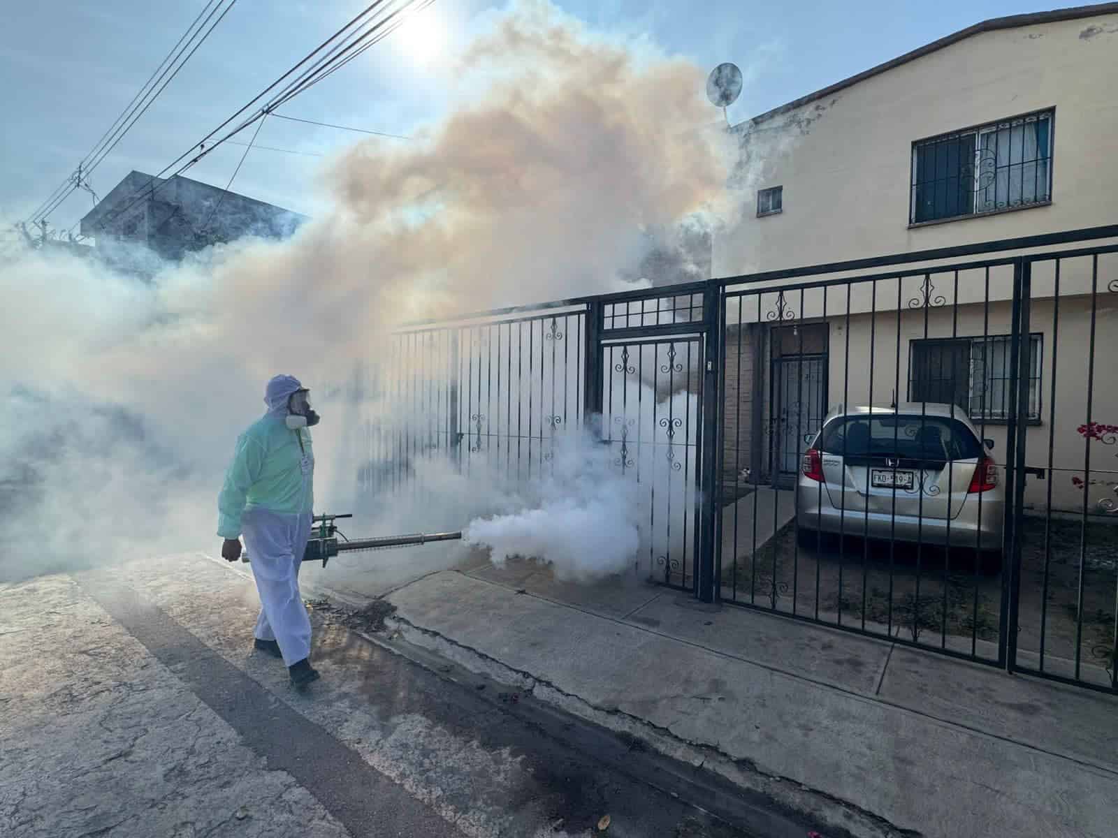 Coahuila implementa brigadas para combatir dengue y rickettsia