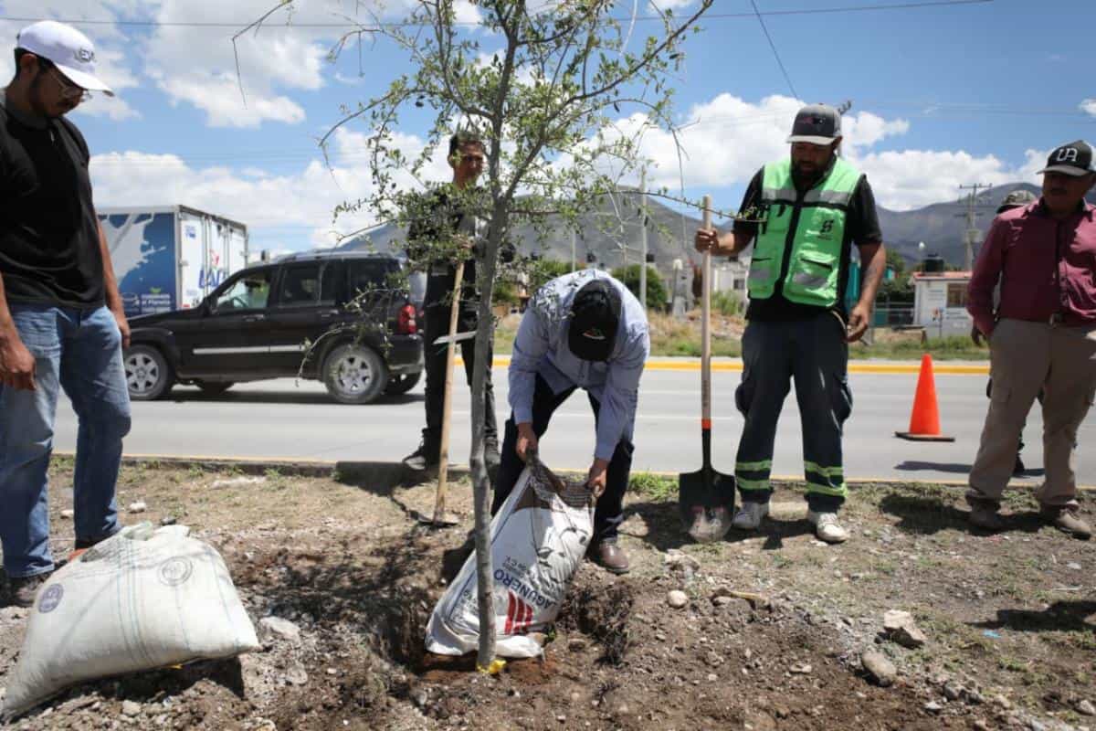 Acciones de reforestaci&oacute;n en Saltillo fortalecen imagen urbana