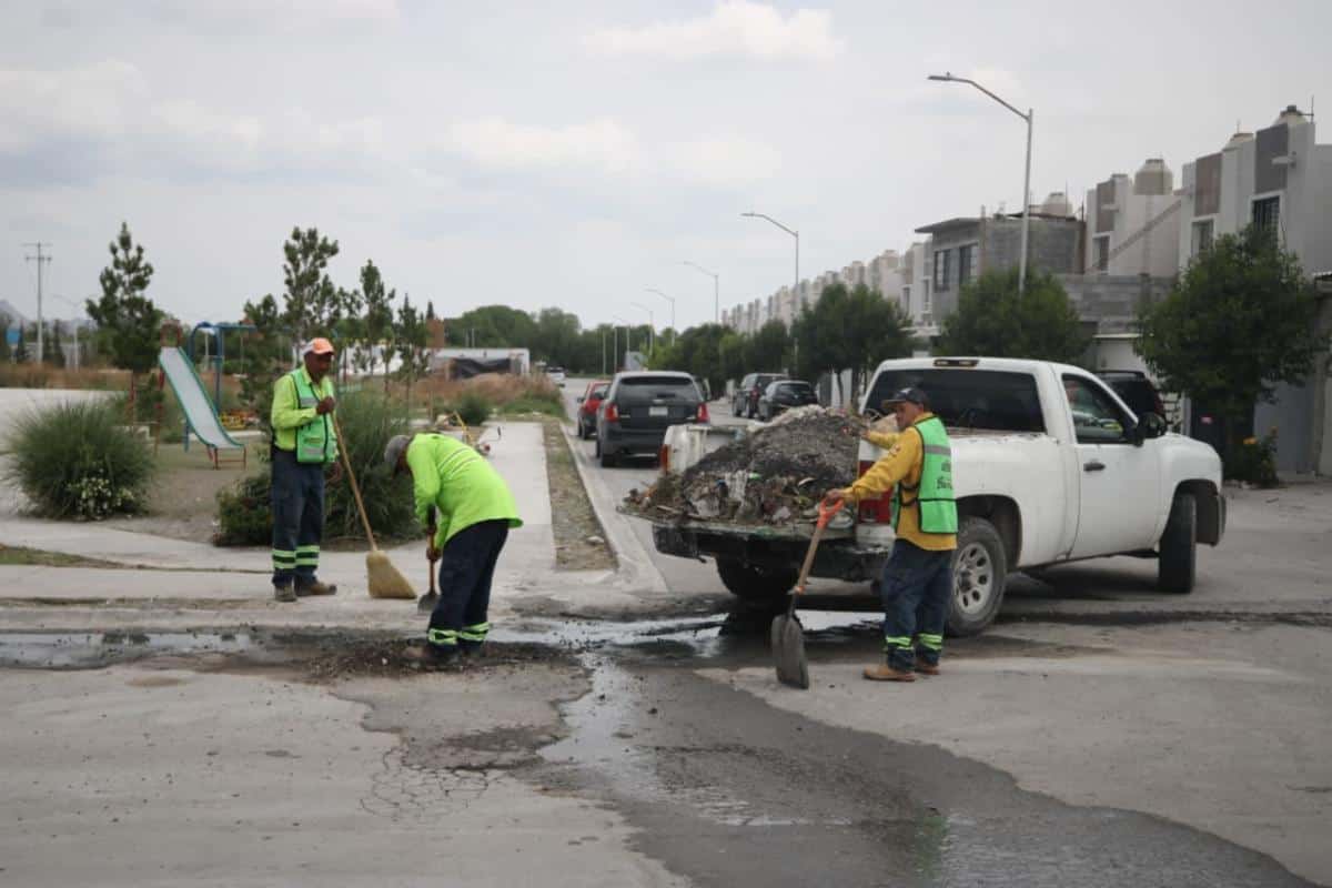 Acciones de reforestaci&oacute;n en Saltillo fortalecen imagen urbana