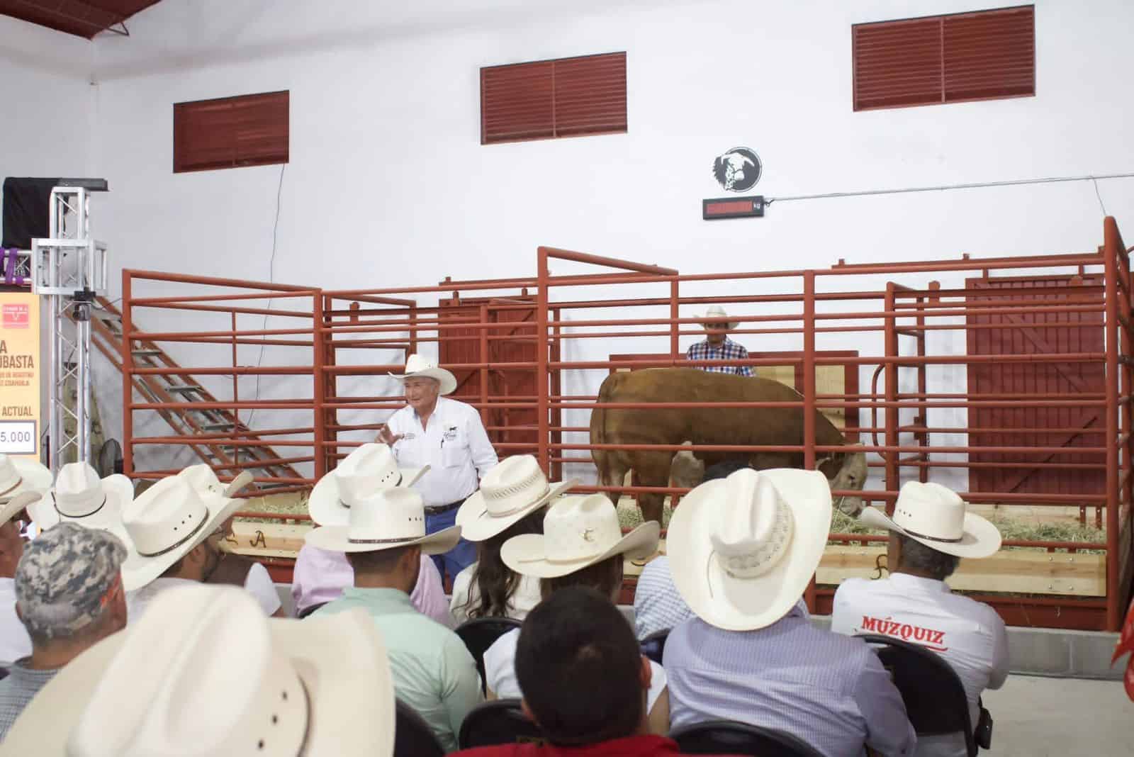 Se realiza premiaci&oacute;n del Novillo Gordo en la Expoasis Ganadera M&uacute;zquiz 2026