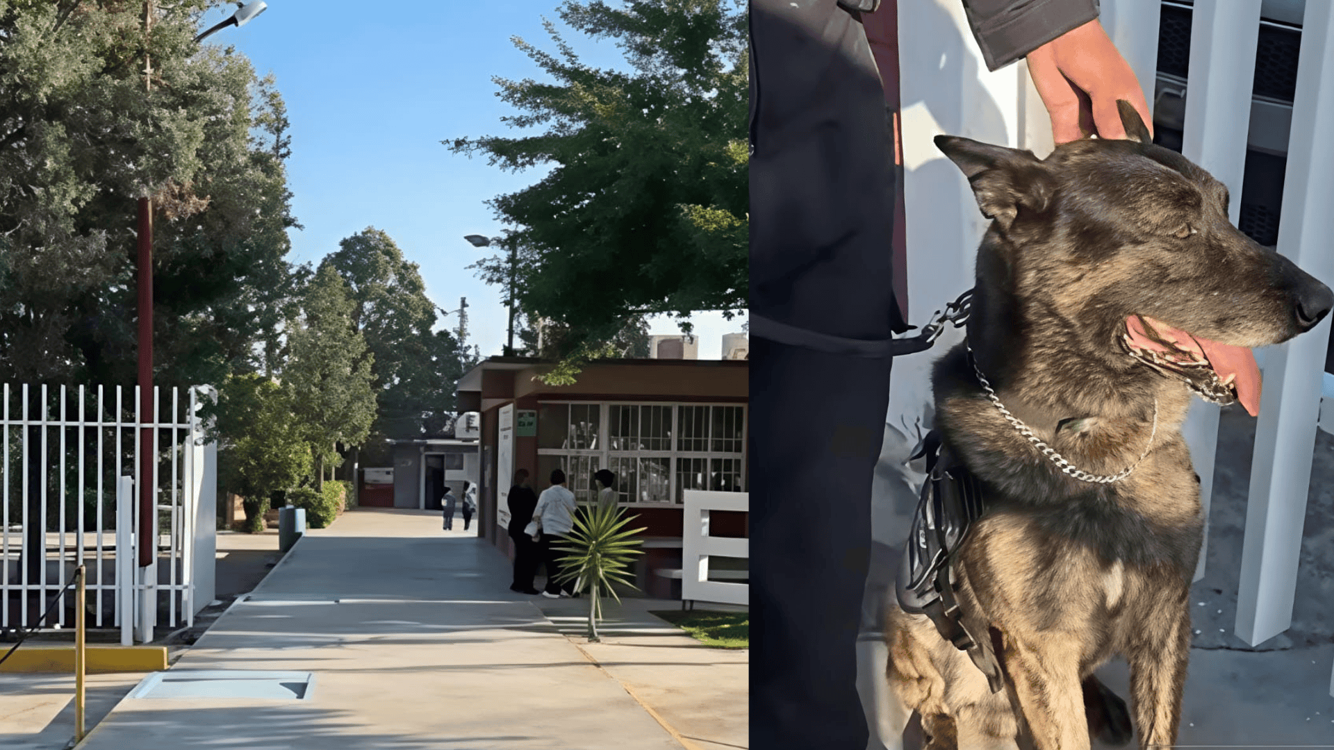 Amenaza de tiroteo activa protocolos de seguridad en secundaria de Saltillo