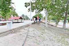 Roban cableado y luminarias en plaza recién rehabilitada en Nava