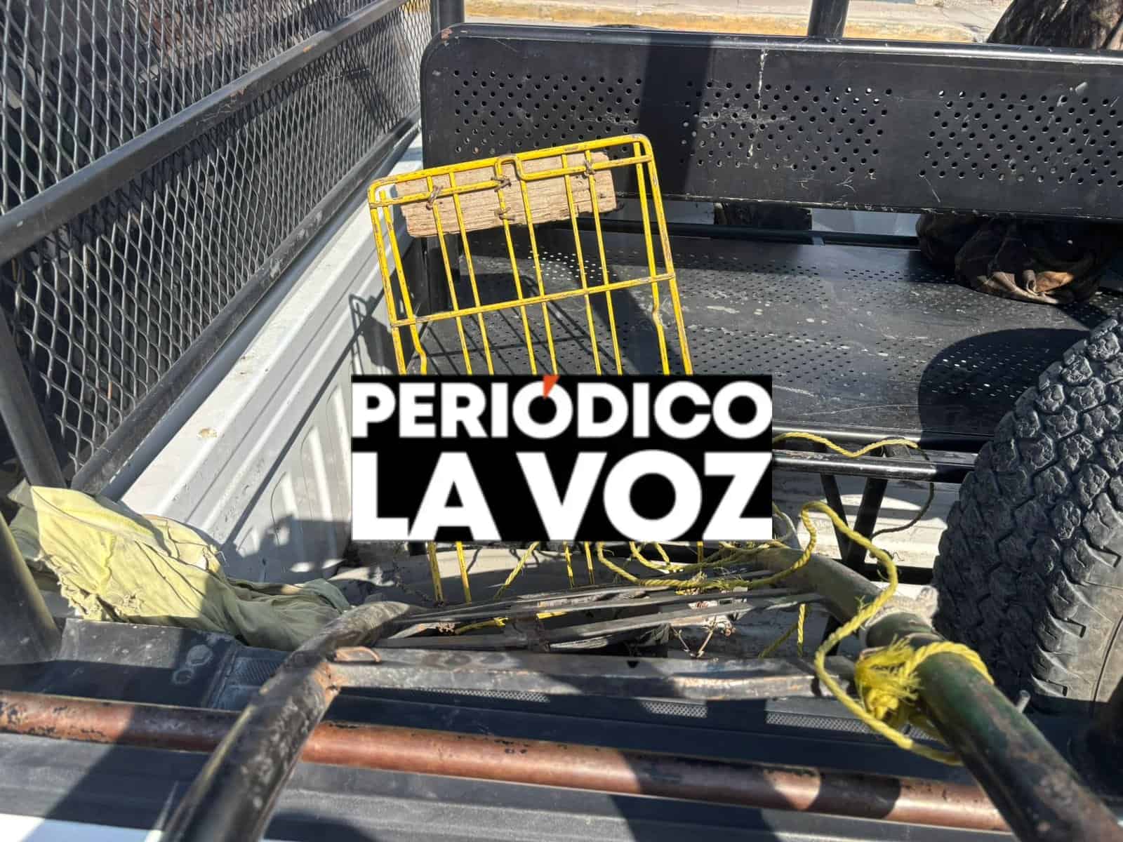 Capturan a &acute;ratota&acute; desmantelando la 288