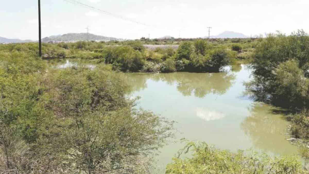 Yesica Sifuentes activa el sistema de drenaje en Casta&ntilde;os