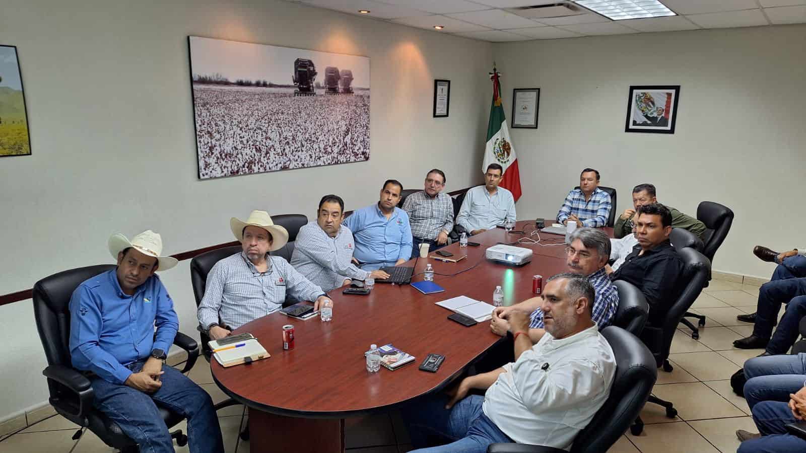 Detecta Coahuila primer caso positivo de gusano barrenador en Casta&ntilde;os