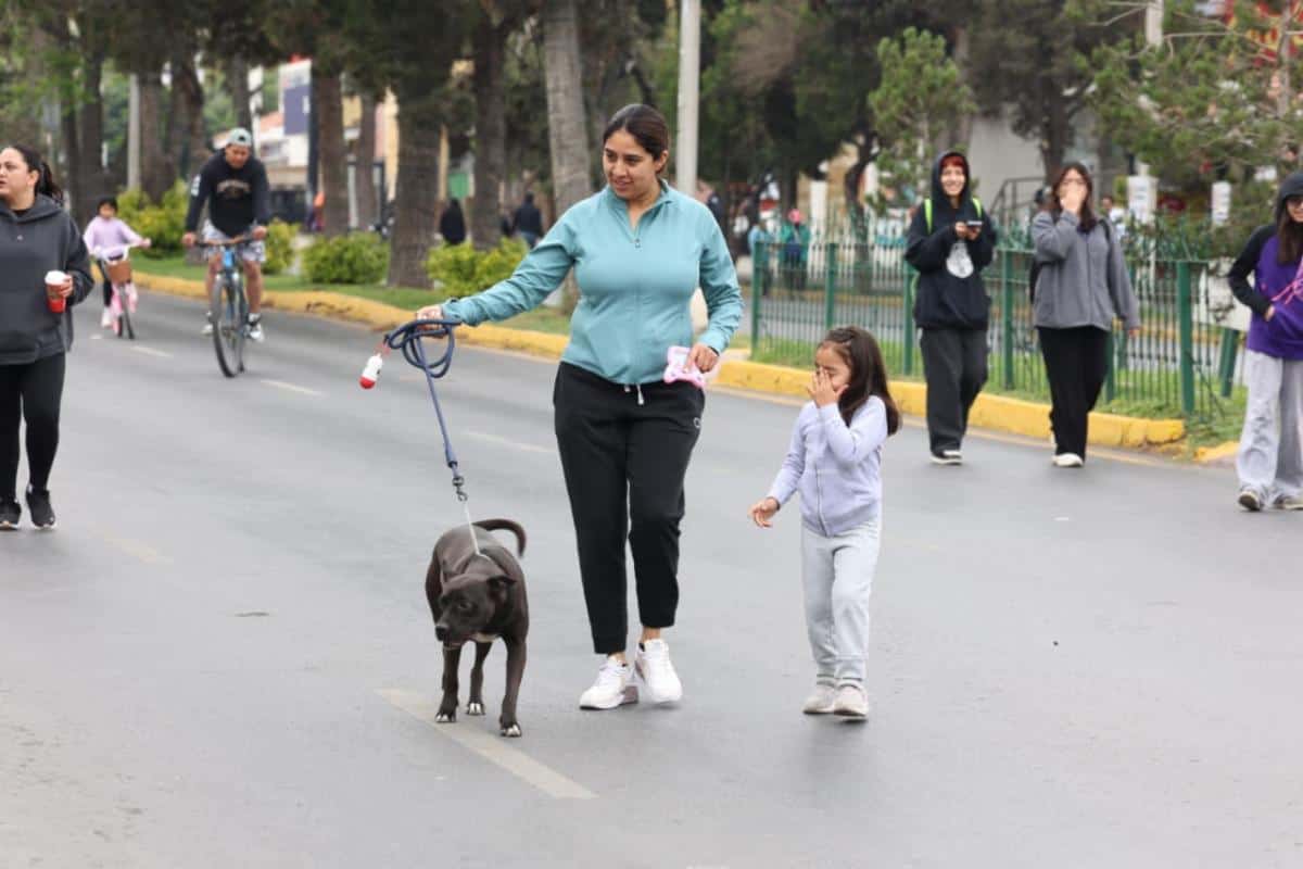 Cientos de saltillenses participan en la Ruta Recreativa: actividades y salud