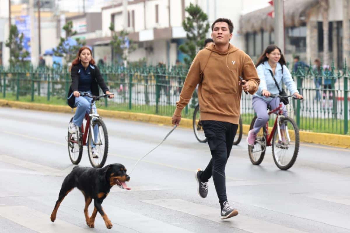 Cientos de saltillenses participan en la Ruta Recreativa: actividades y salud