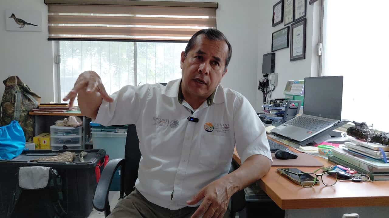 Incendio da&ntilde;a sabinos milenarios en Sabinas, Coahuila