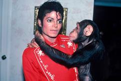 Michael Jackson tuvo un chimpancé llamado Bubbles en Neverland
