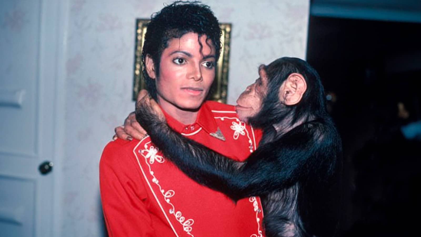 Michael Jackson tuvo un chimpanc&eacute; llamado Bubbles en Neverland