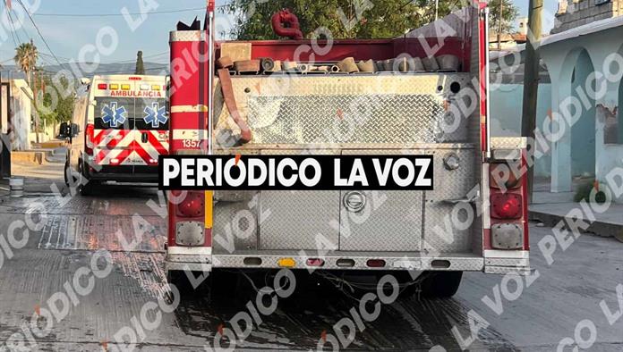 Enjambre de abejas ataca a vecino en colonia Hipódromo: Monclova
