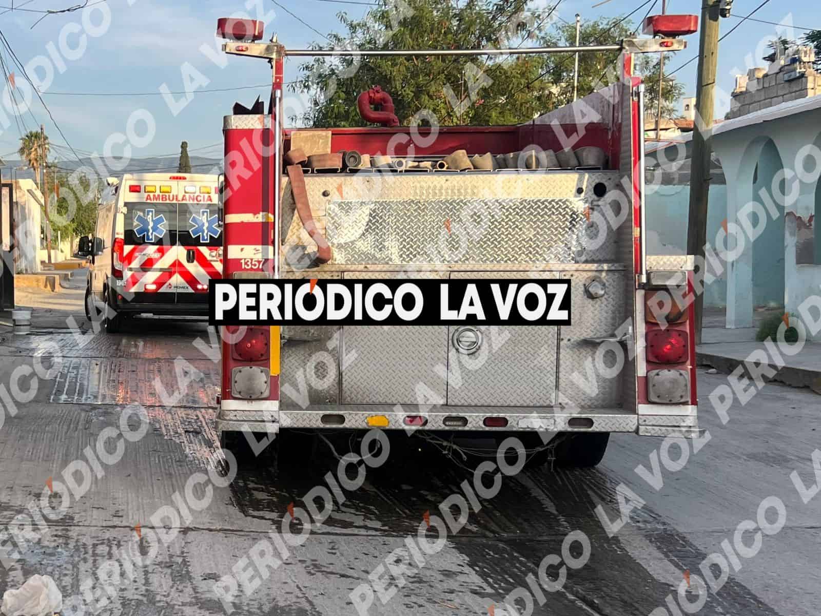 Enjambre de abejas ataca a vecino en colonia Hip&oacute;dromo: Monclova