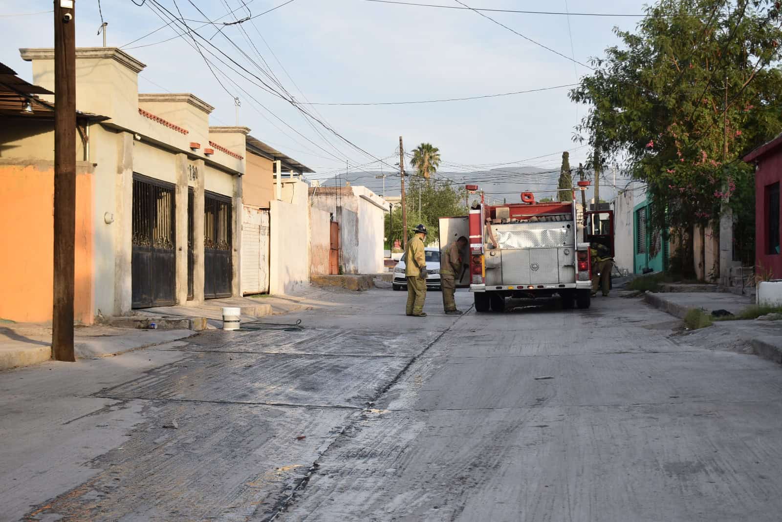 Enjambre de abejas ataca a vecino en colonia Hipódromo: Monclova