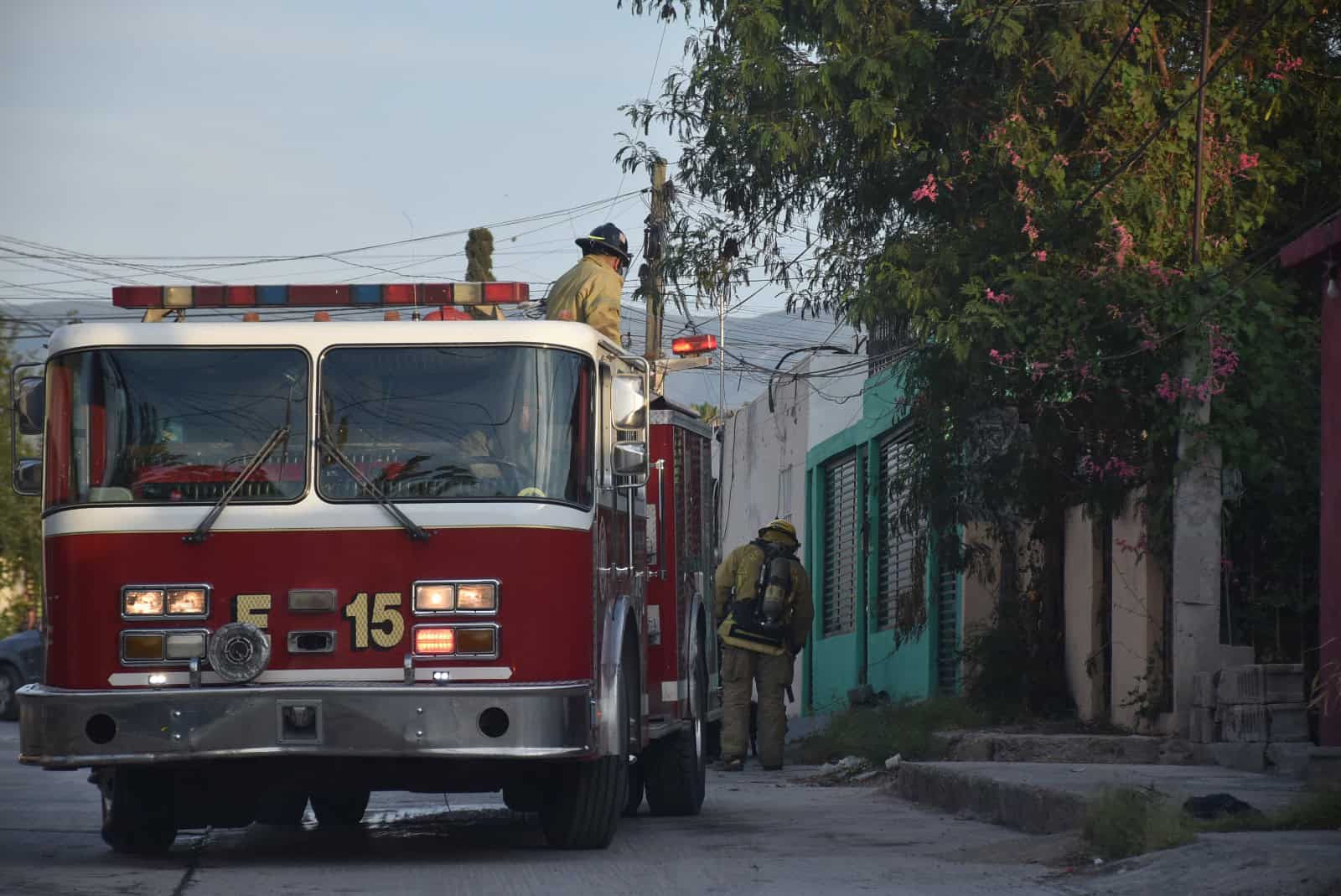 Enjambre de abejas ataca a vecino en colonia Hipódromo: Monclova