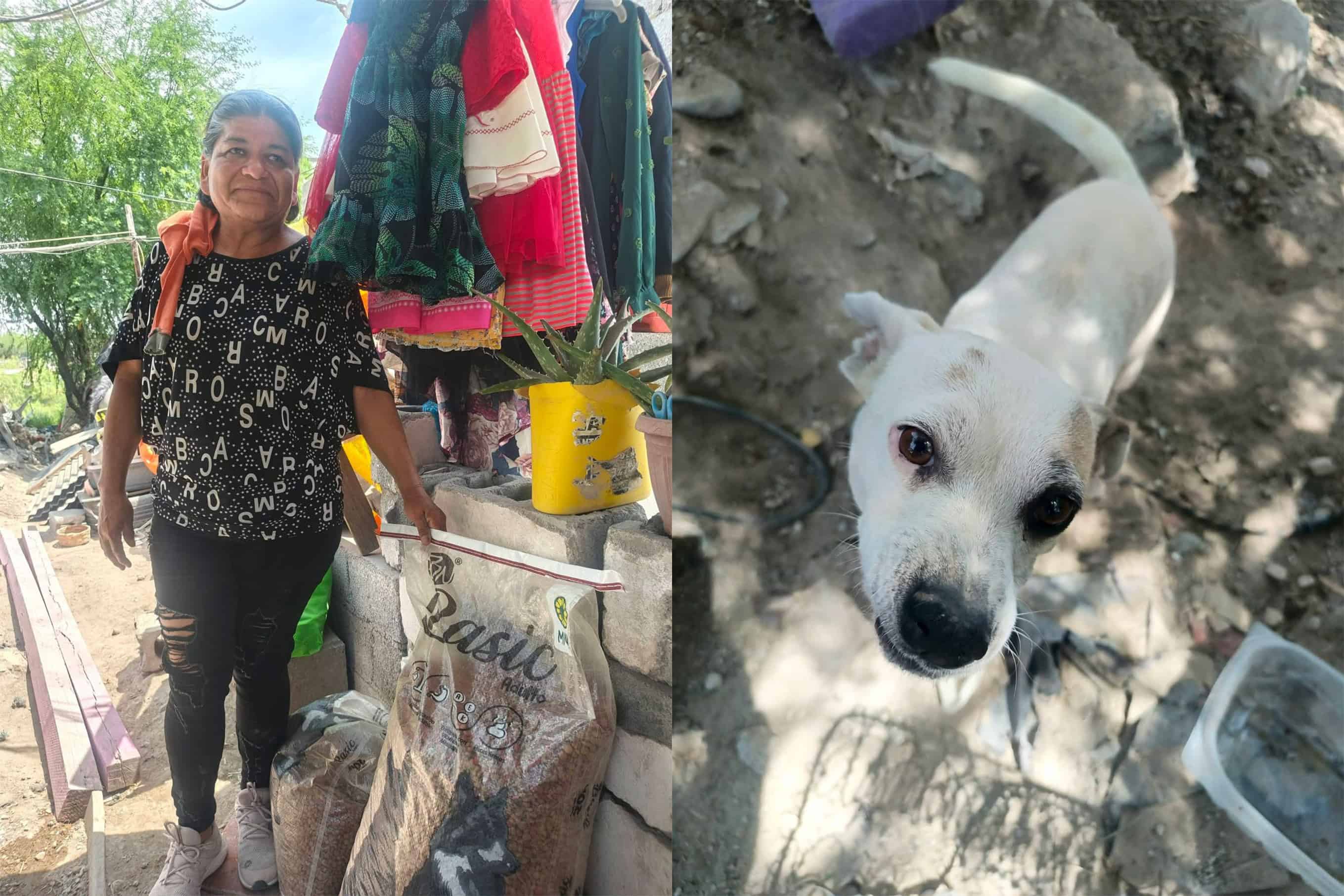 Lobita Dejando Huella pide apoyo para familia que resguarda a 12 perritos rescatados