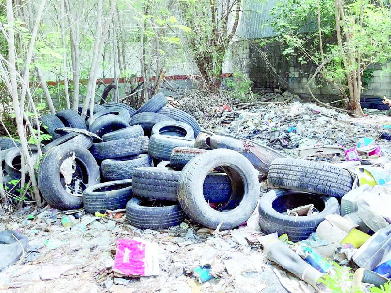 Frontera realiza jornada de descacharrizaci&oacute;n para prevenir dengue