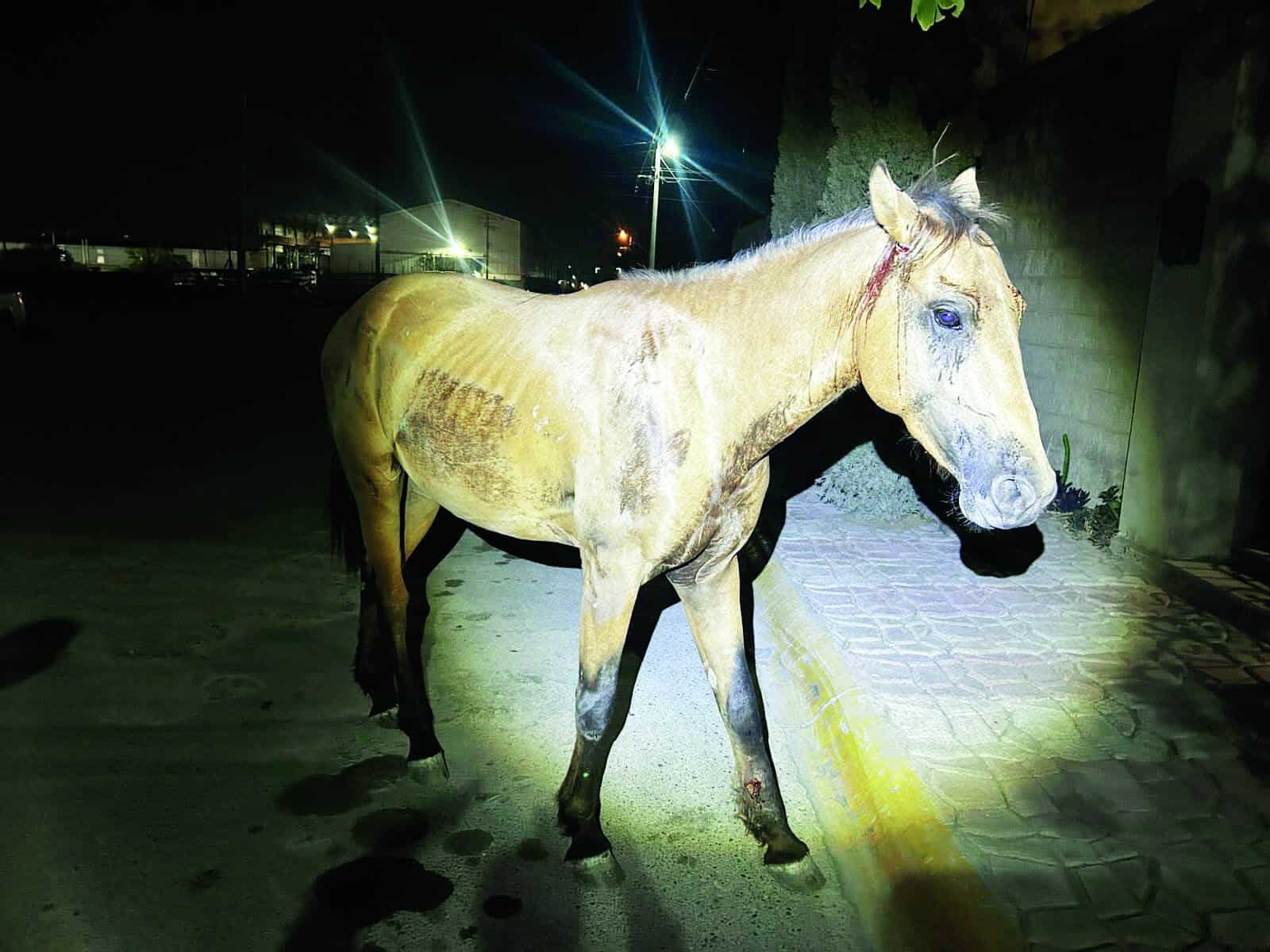 Embiste familia a caballo