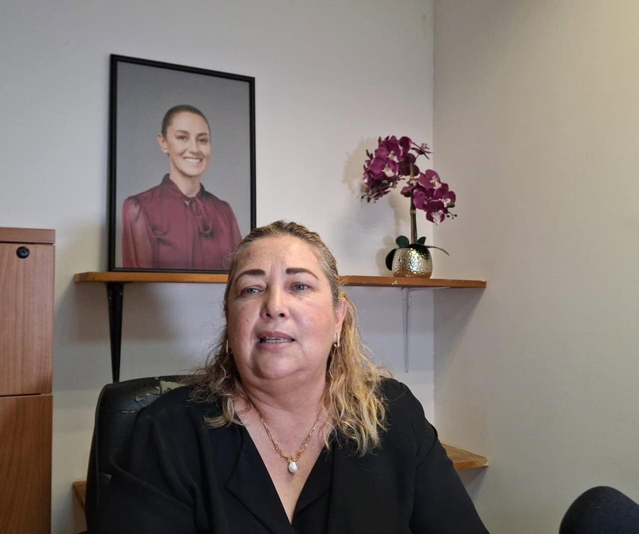 Ver&oacute;nica Hern&aacute;ndez pide evitar involucrar a adultos mayores en protestas
