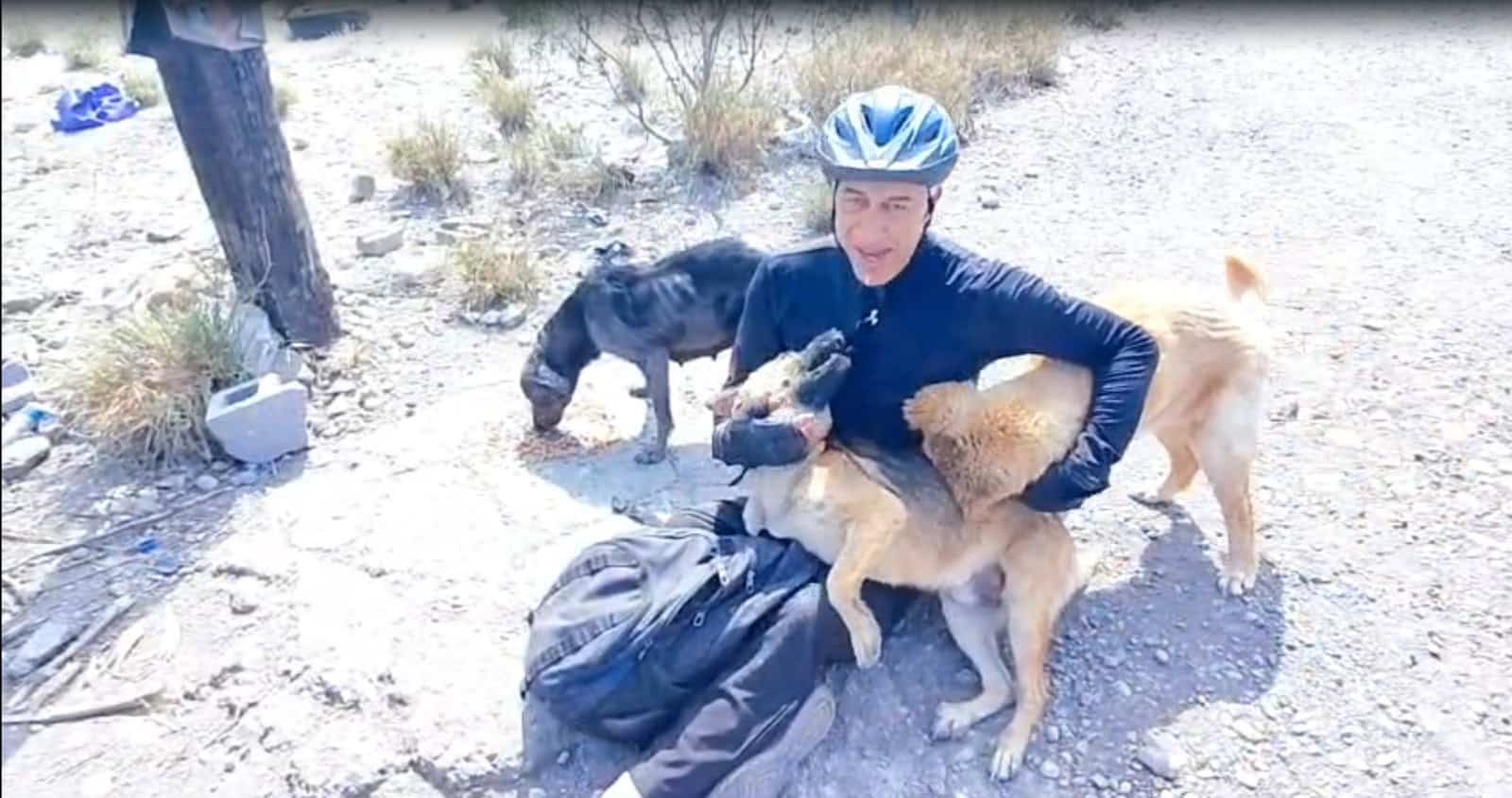 Pedro Armend&aacute;riz Z&aacute;rate ayuda a perros callejeros en Agujita