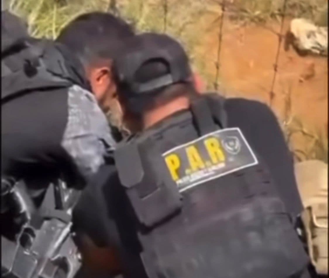 Coyote liberado por polic&iacute;a tras quedar atrapado en un cercado