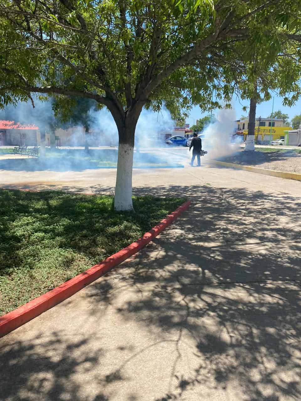 Frontera: Gobierno Municipal mantiene dengue bajo control
