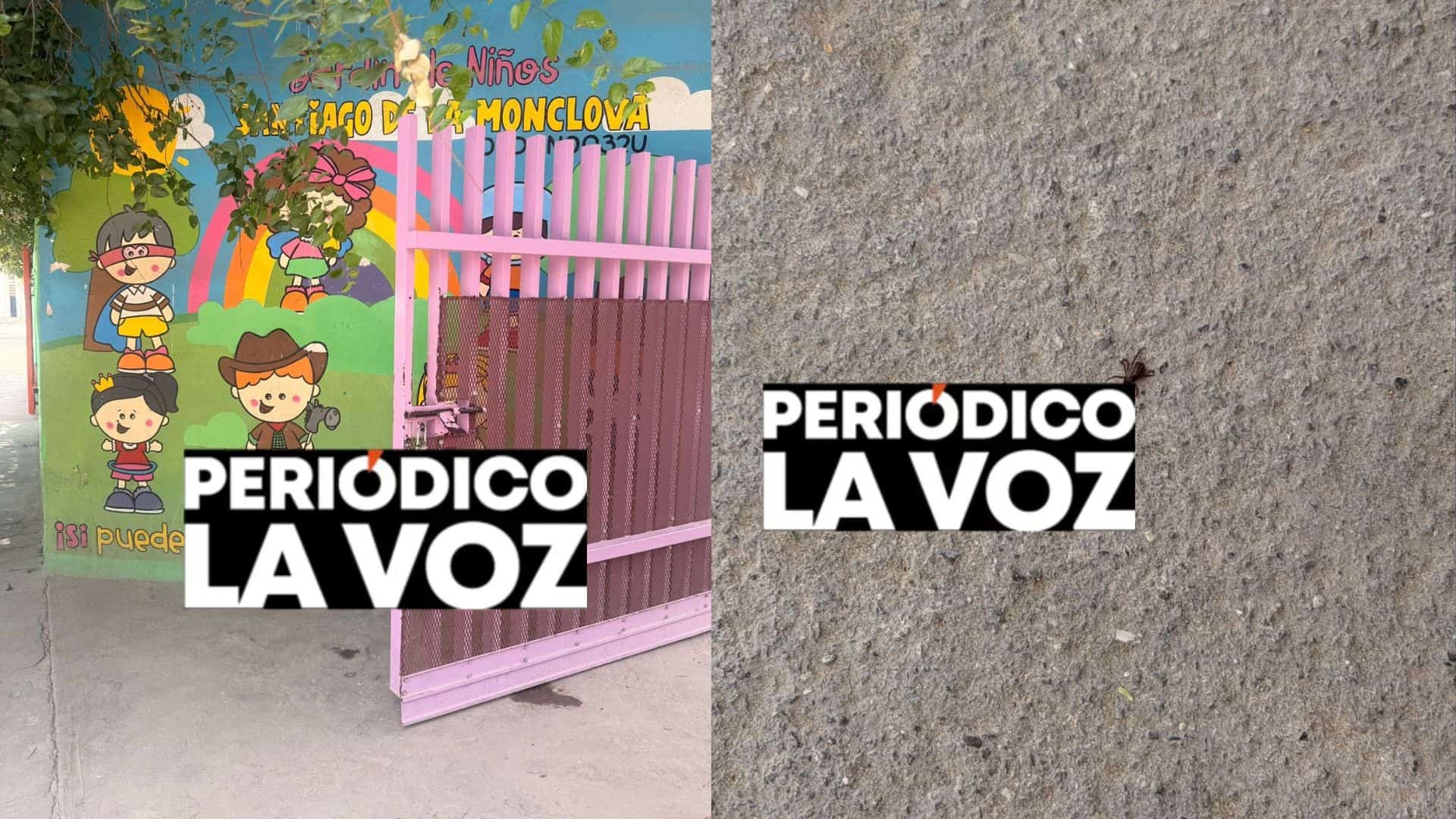 plaga de garrapatas amenaza k&iacute;nder; temen tragedia por rickettsia