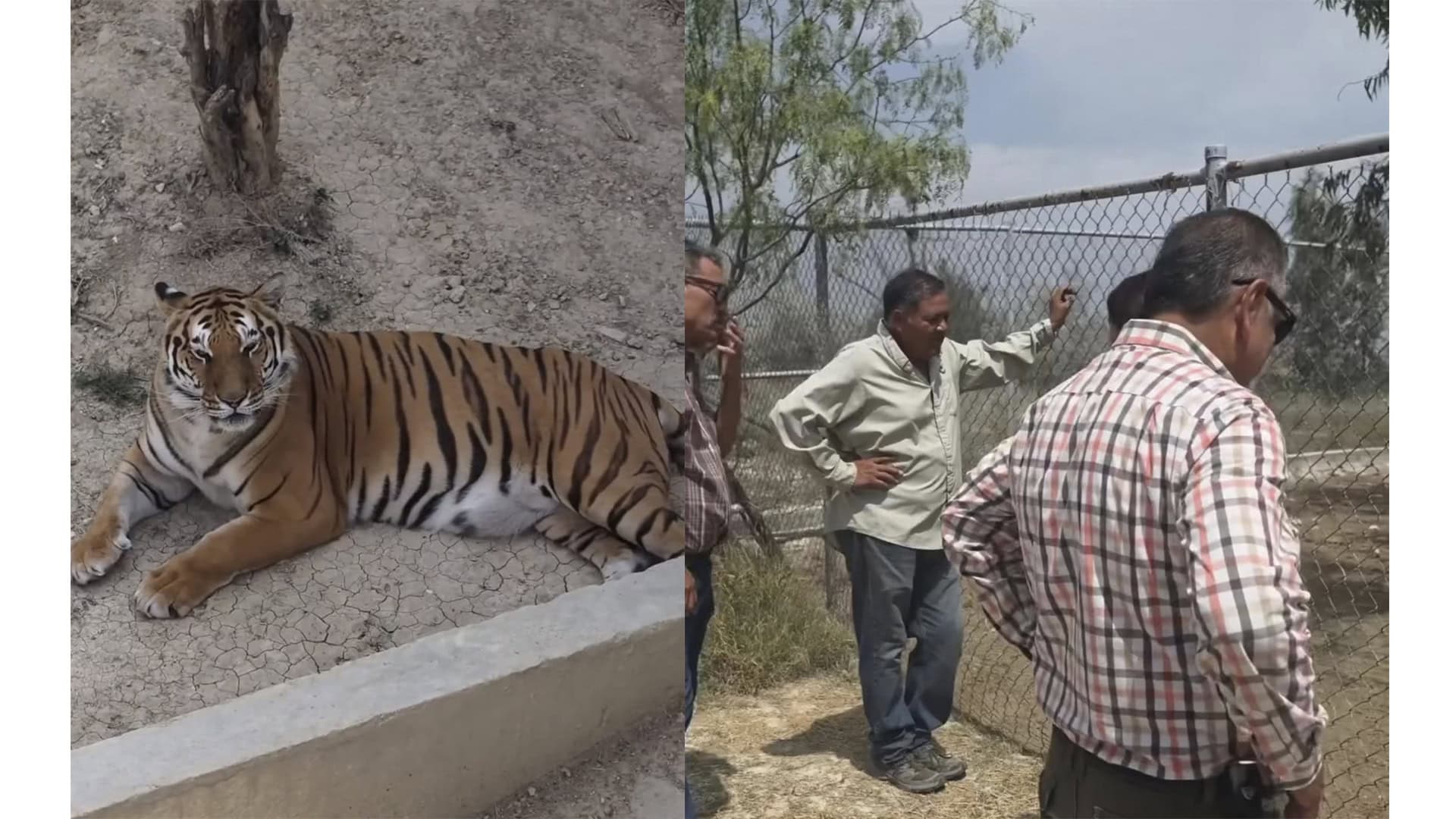 Inspecci&oacute;n confirma condiciones &oacute;ptimas de animales en Eco Parque