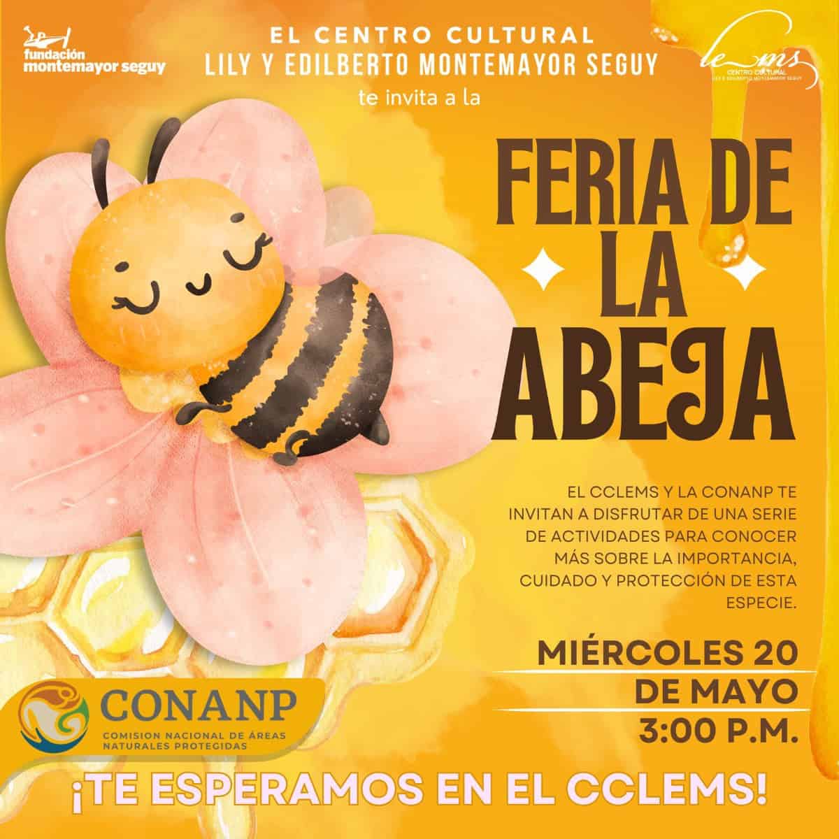 Sabinas: Centro Cultural Lili y Edilberto Montemayor organiza Festival de la Abeja