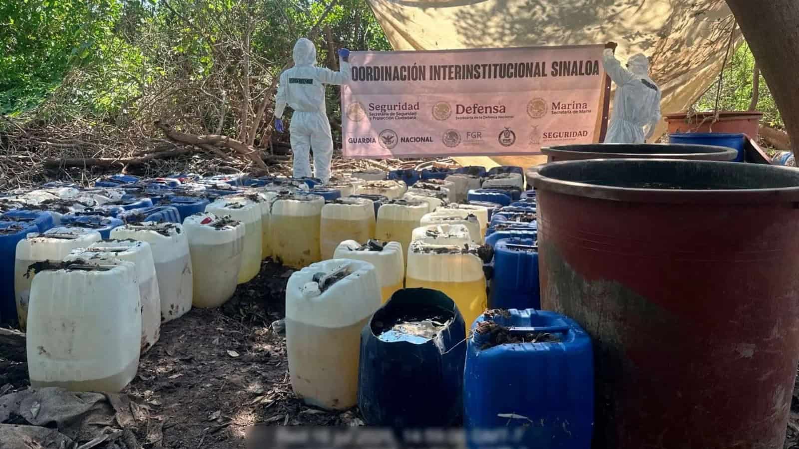 C&aacute;rtel de Sinaloa pierde 923 millones tras desmantelamiento de narcolaboratorios en Sinaloa