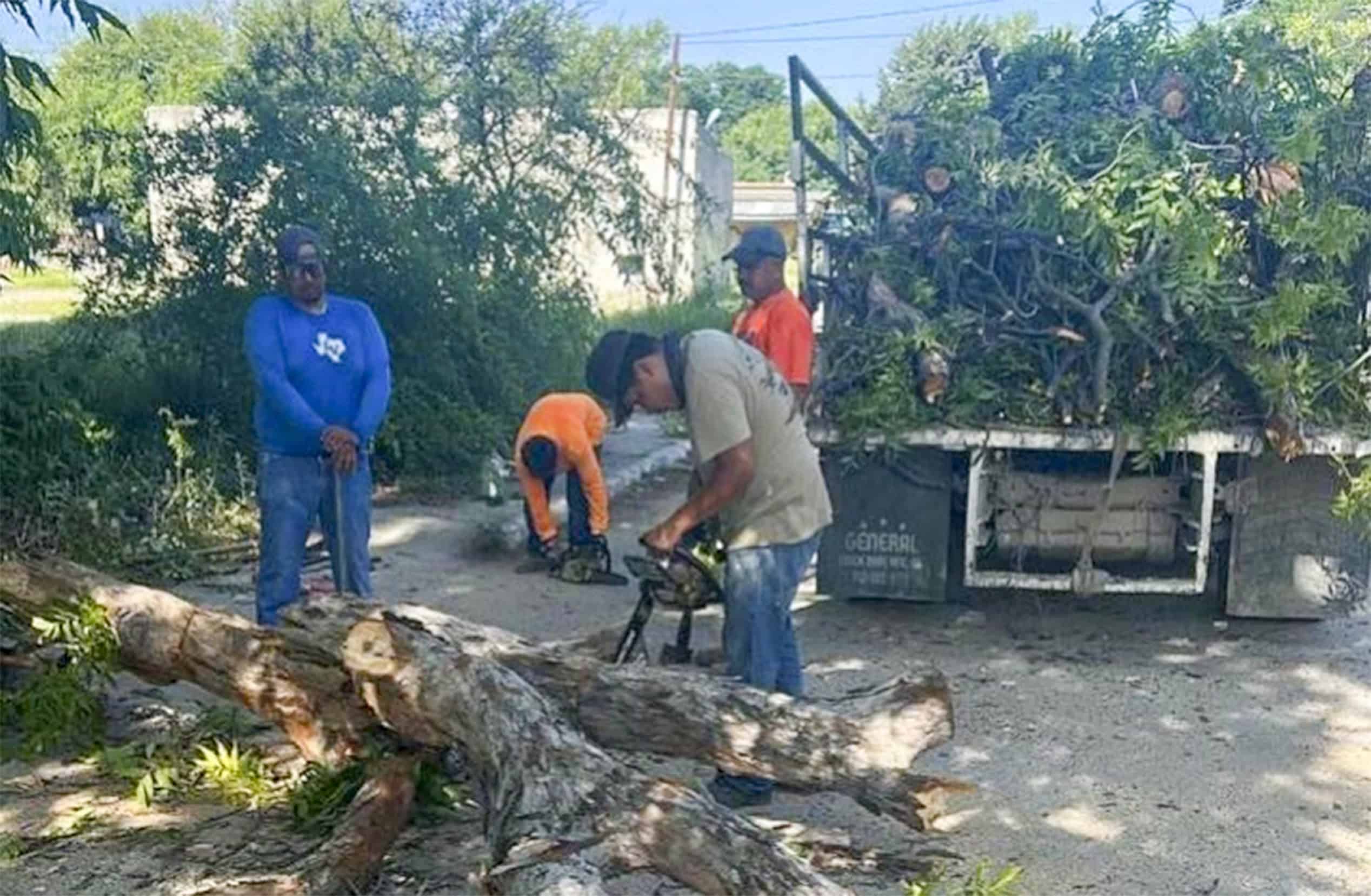 Fuertes vientos provocan da&ntilde;os y ca&iacute;da de ramas en calles de Nava