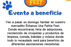 Convocan a festival para apoyar a perros rescatados