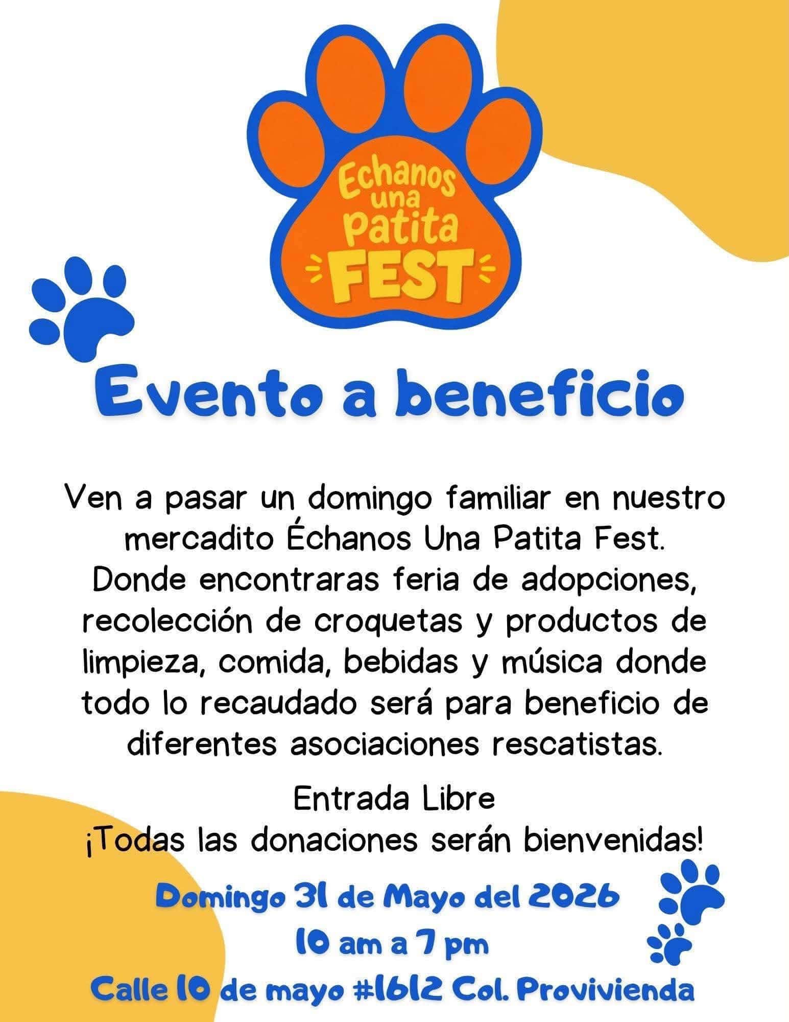 Convocan a festival para apoyar a perros rescatados