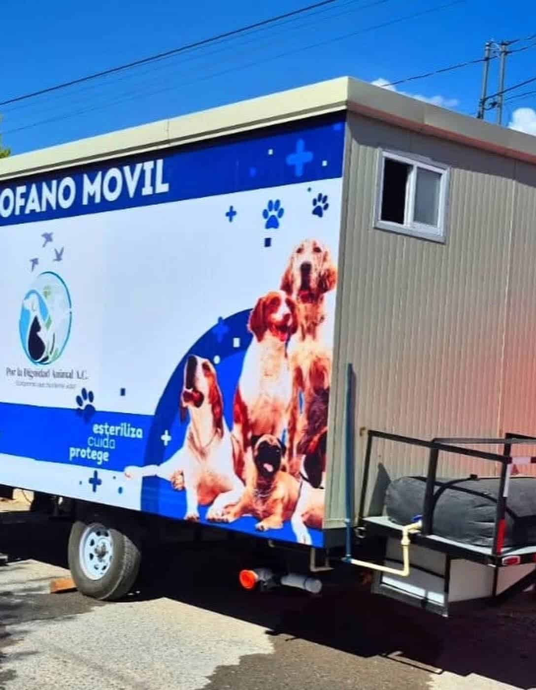 Convocan a festival para apoyar a perros rescatados