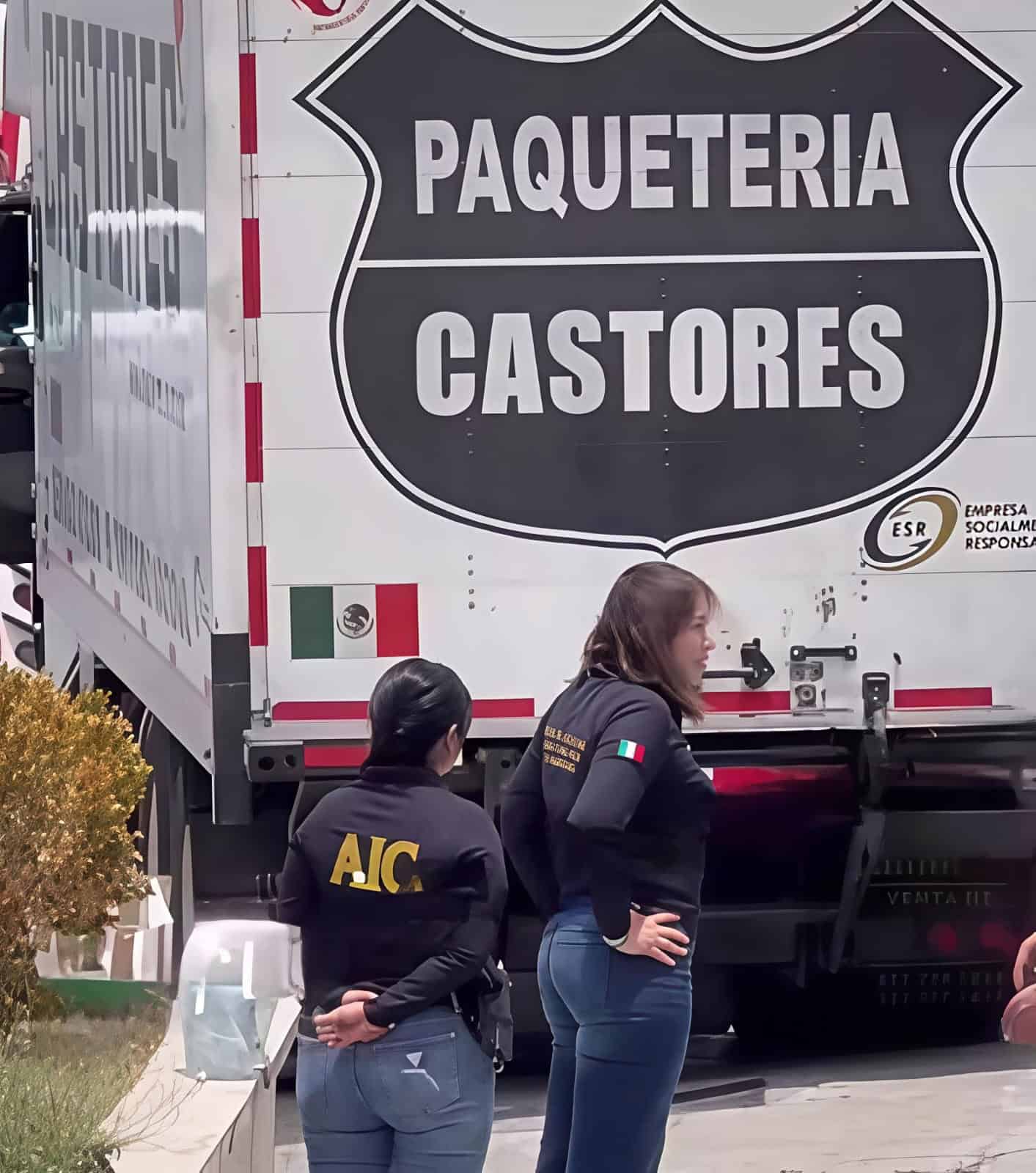 Aseguran 15 armas en cami&oacute;n de paqueter&iacute;a