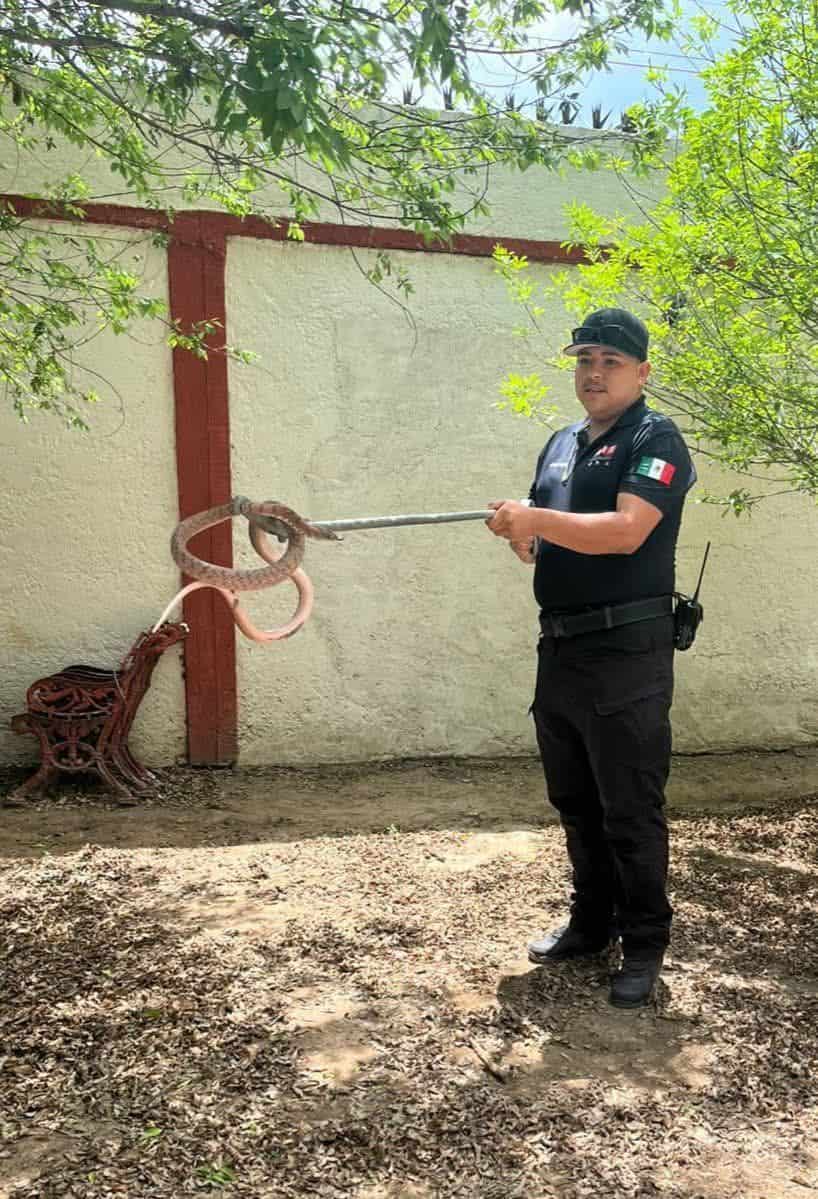Aumentan reportes de fauna silvestre en Sabinas: Jos&eacute; D&aacute;vila Paulin