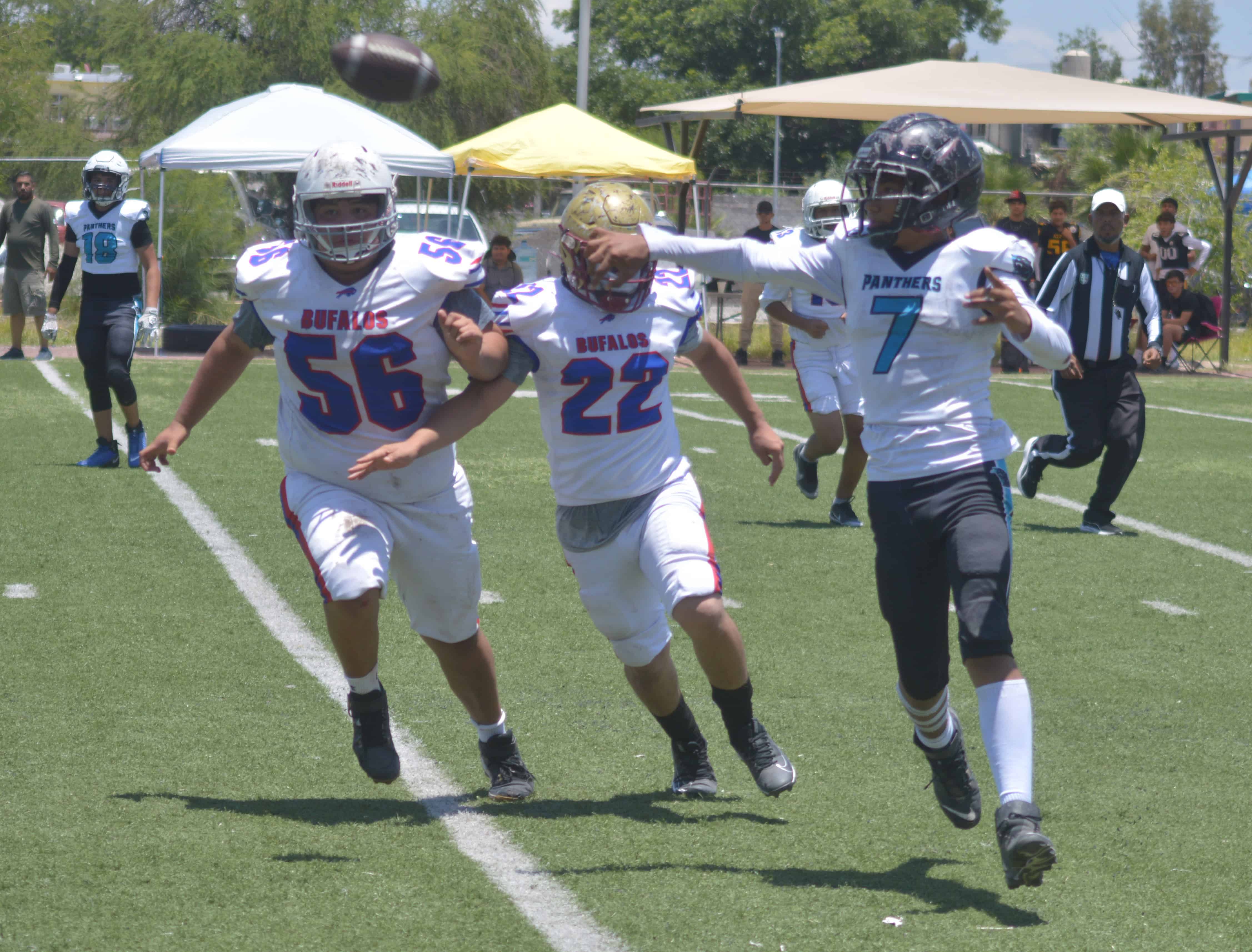 Acereros y B&uacute;falos buscan t&iacute;tulos en la Liga de F&uacute;tbol Americano