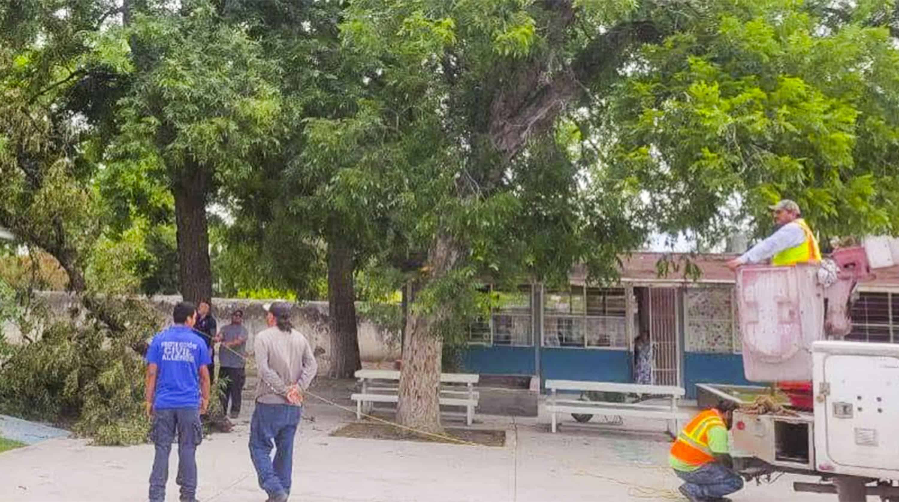 Retiran ramas y realizan limpieza en primaria Miguel Hidalgo de Allende
