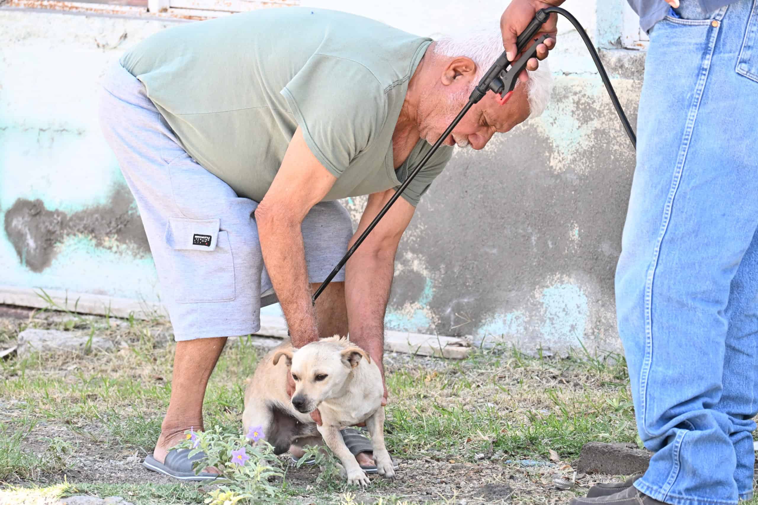 Frontera: Inician jornadas de salud p&uacute;blica gratuitas para mascotas