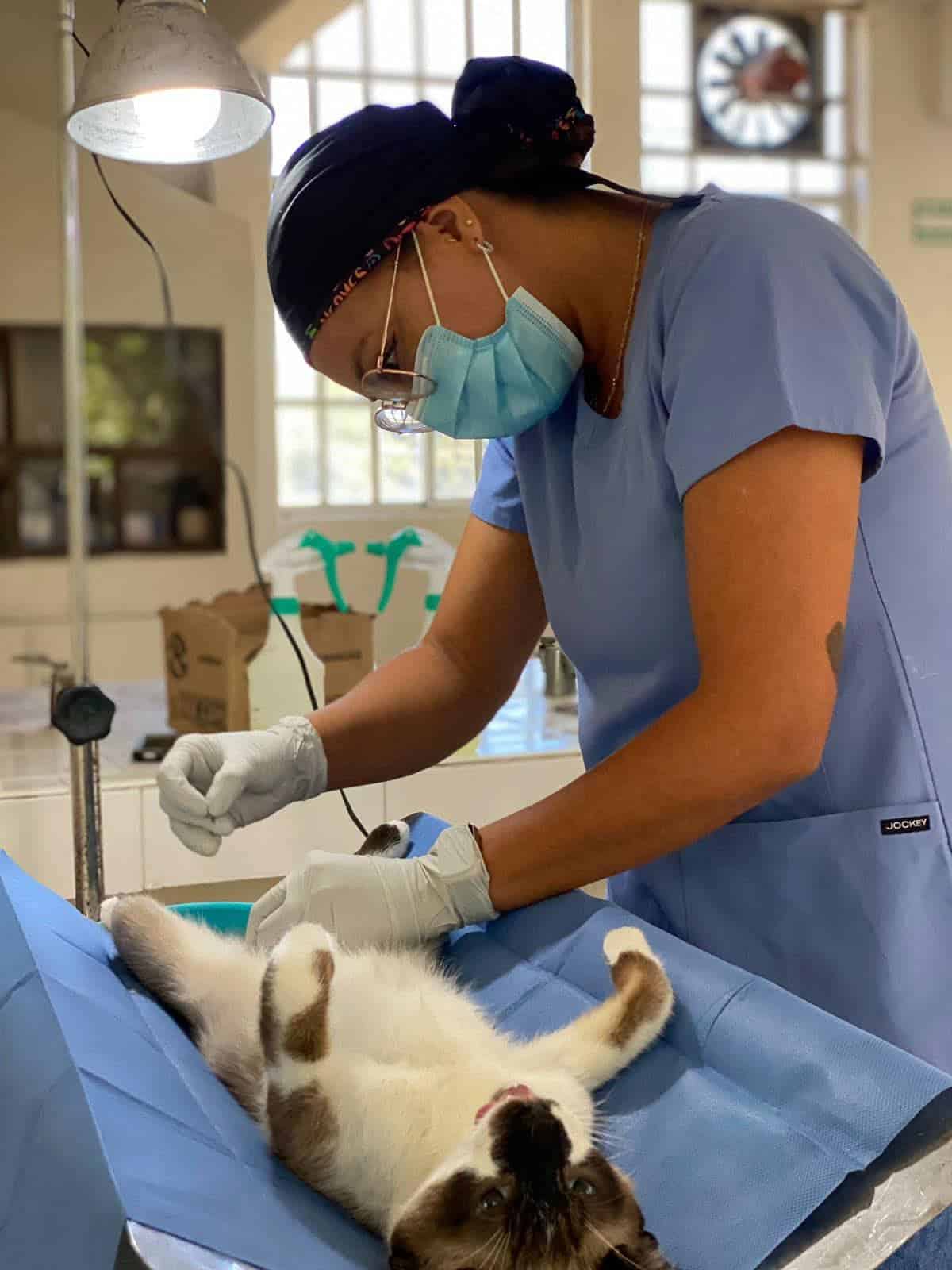 Perrunos UAAAN organiza campa&ntilde;a de vacunaci&oacute;n en Saltillo