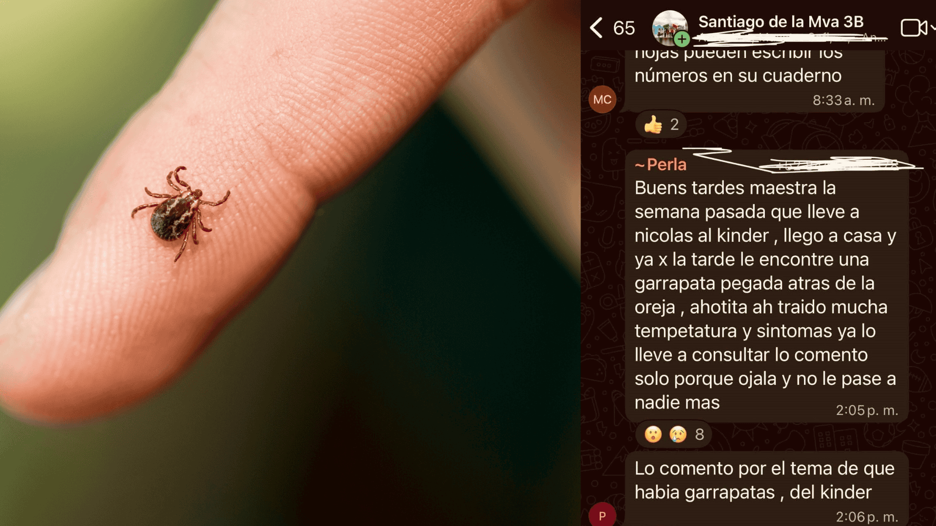 Escuela en Coahuila fumigada ocho veces por garrapatas y pulgas