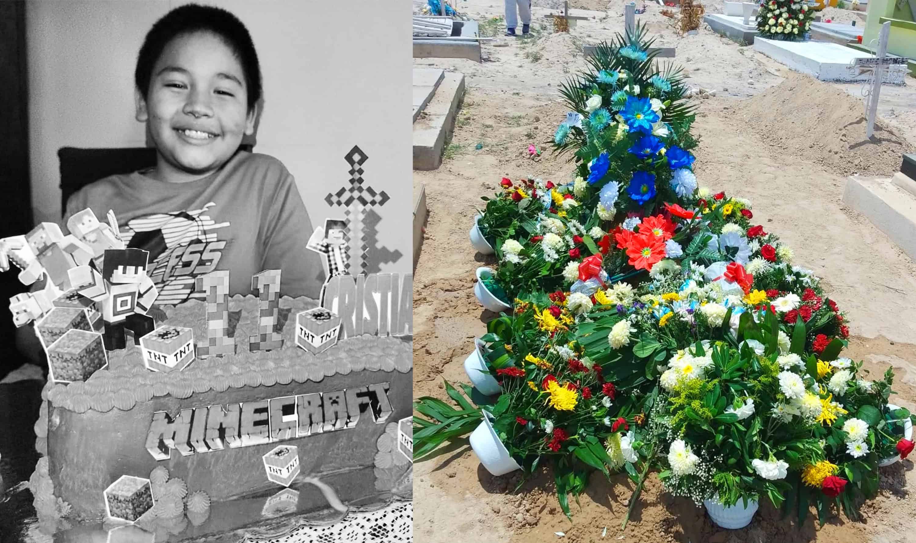La mascota que nunca soltaba: Posible causa detr&aacute;s de la muerte de Cristan por rickettsia