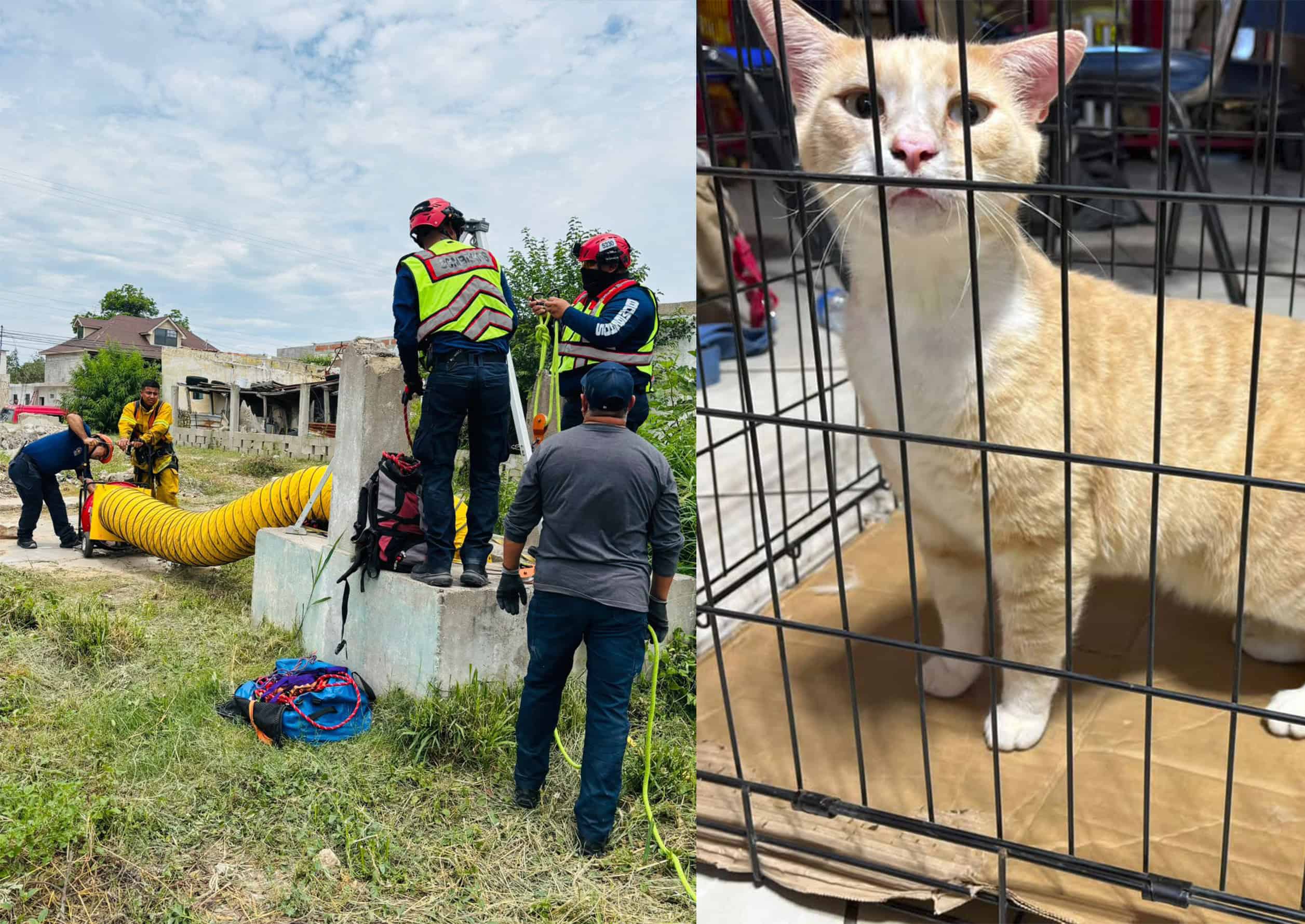 Rescatan a gata atrapada en una noria de 10 metros de profundidad en Ciudad Acu&ntilde;a
