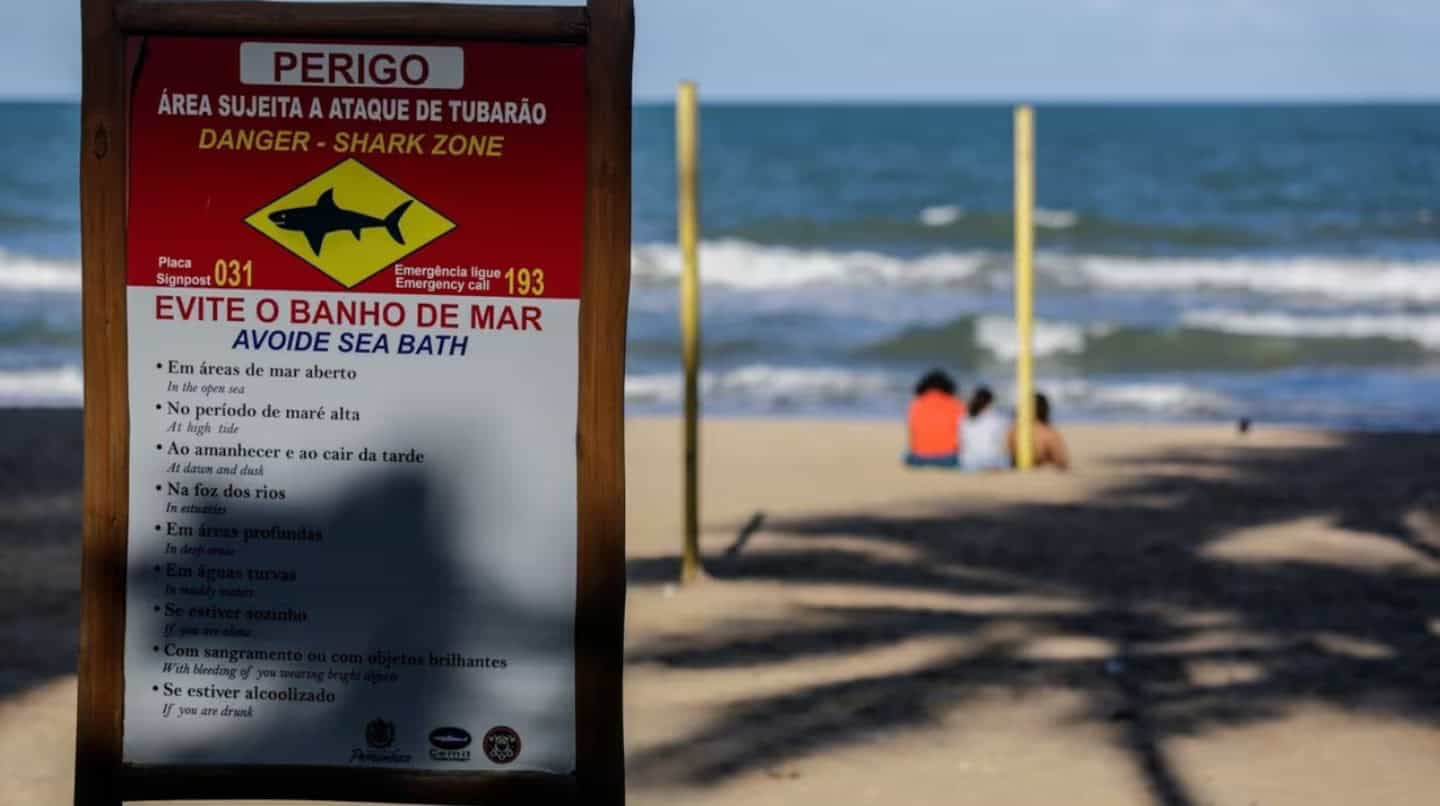Joven de 19 a&ntilde;os  es atacada por tibur&oacute;n en Boa Viagem