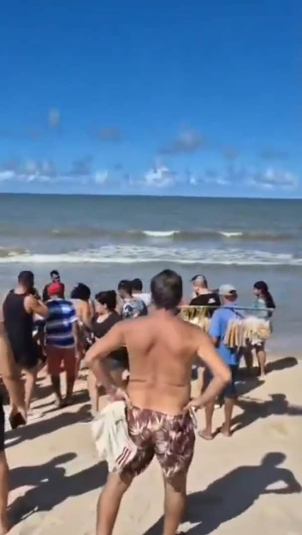 Joven de 19 a&ntilde;os  es atacada por tibur&oacute;n en Boa Viagem