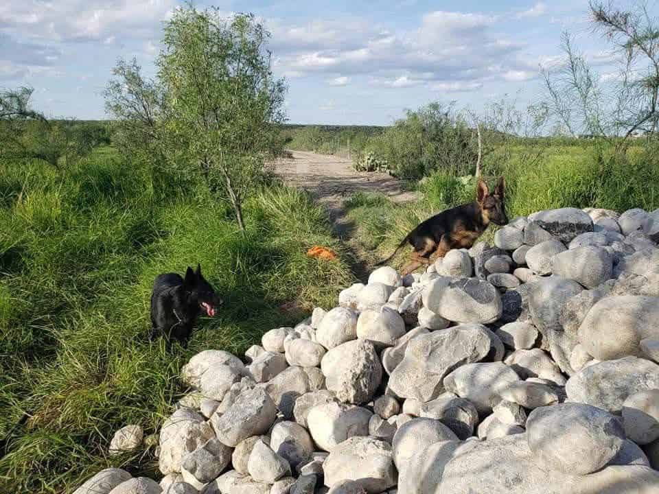 Indignaci&oacute;n en el Ejido Sabinas
