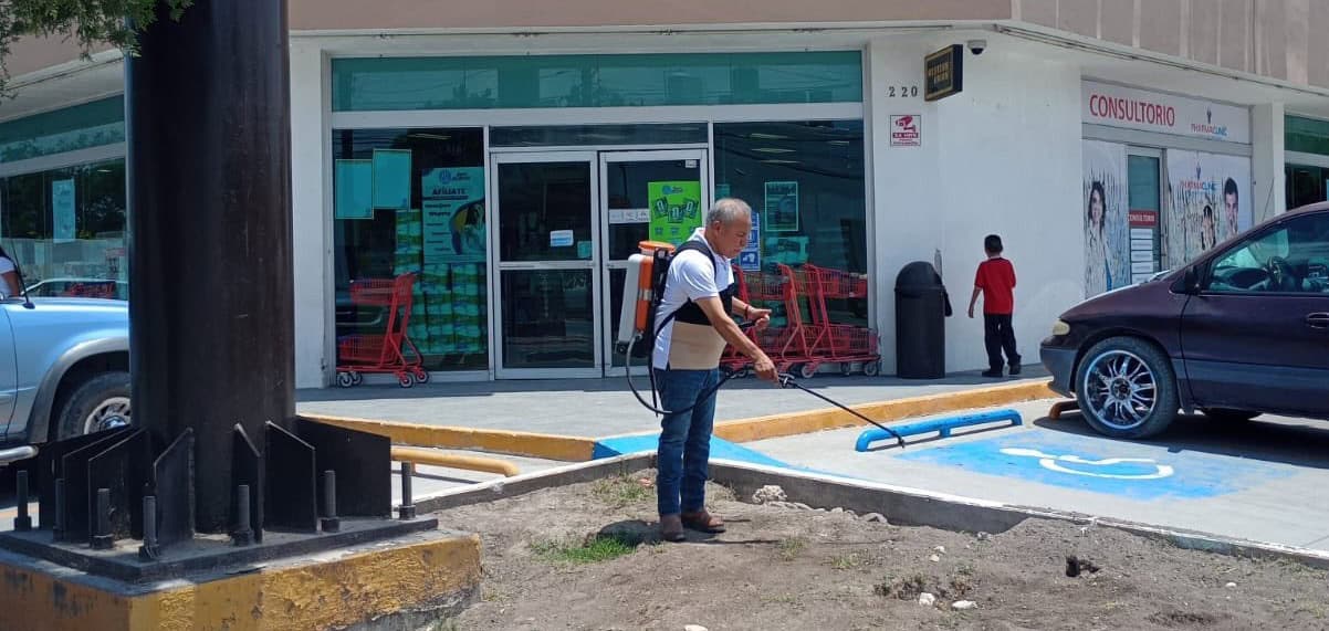Fumigan zona centro de Allende para combatir pulgas y garrapatas