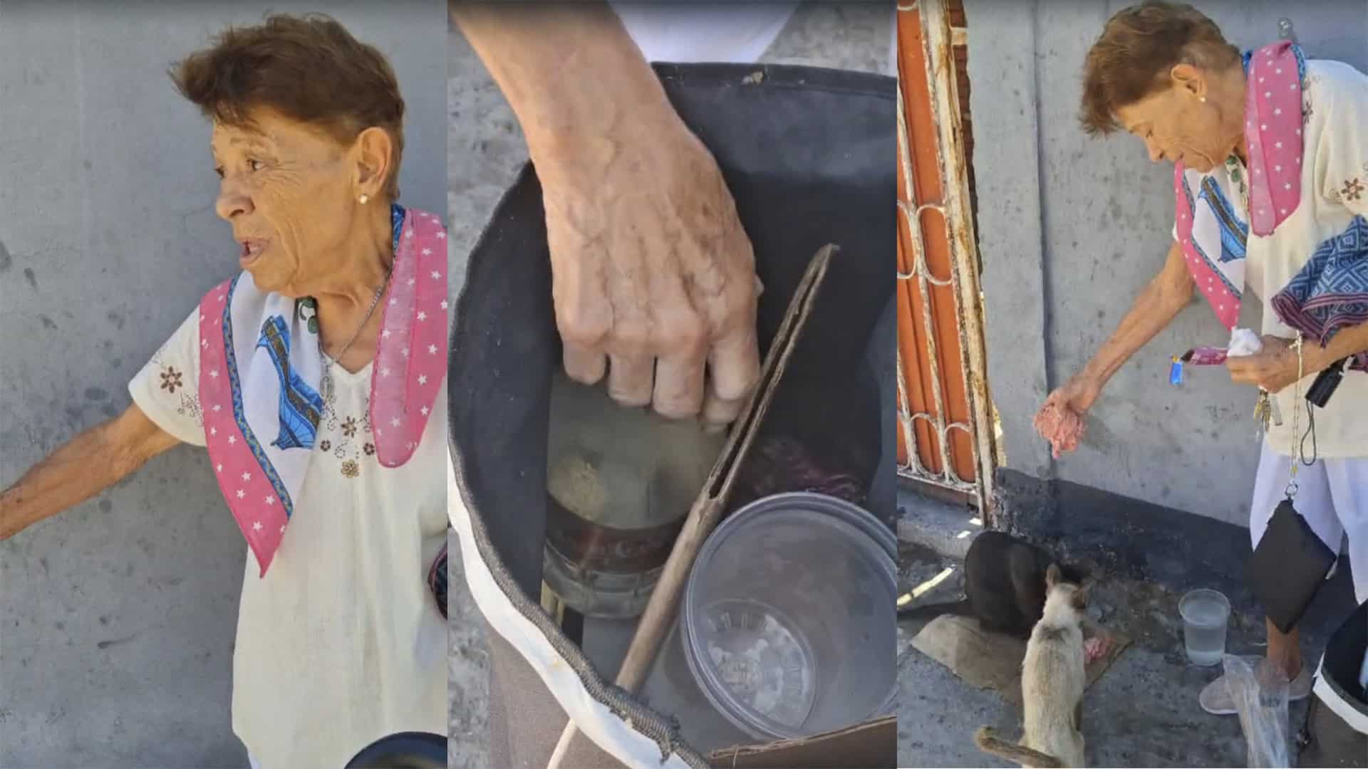 Compasi&oacute;n de Mar&iacute;a Helena V&aacute;zquez hacia animales callejeros en Zona Centro