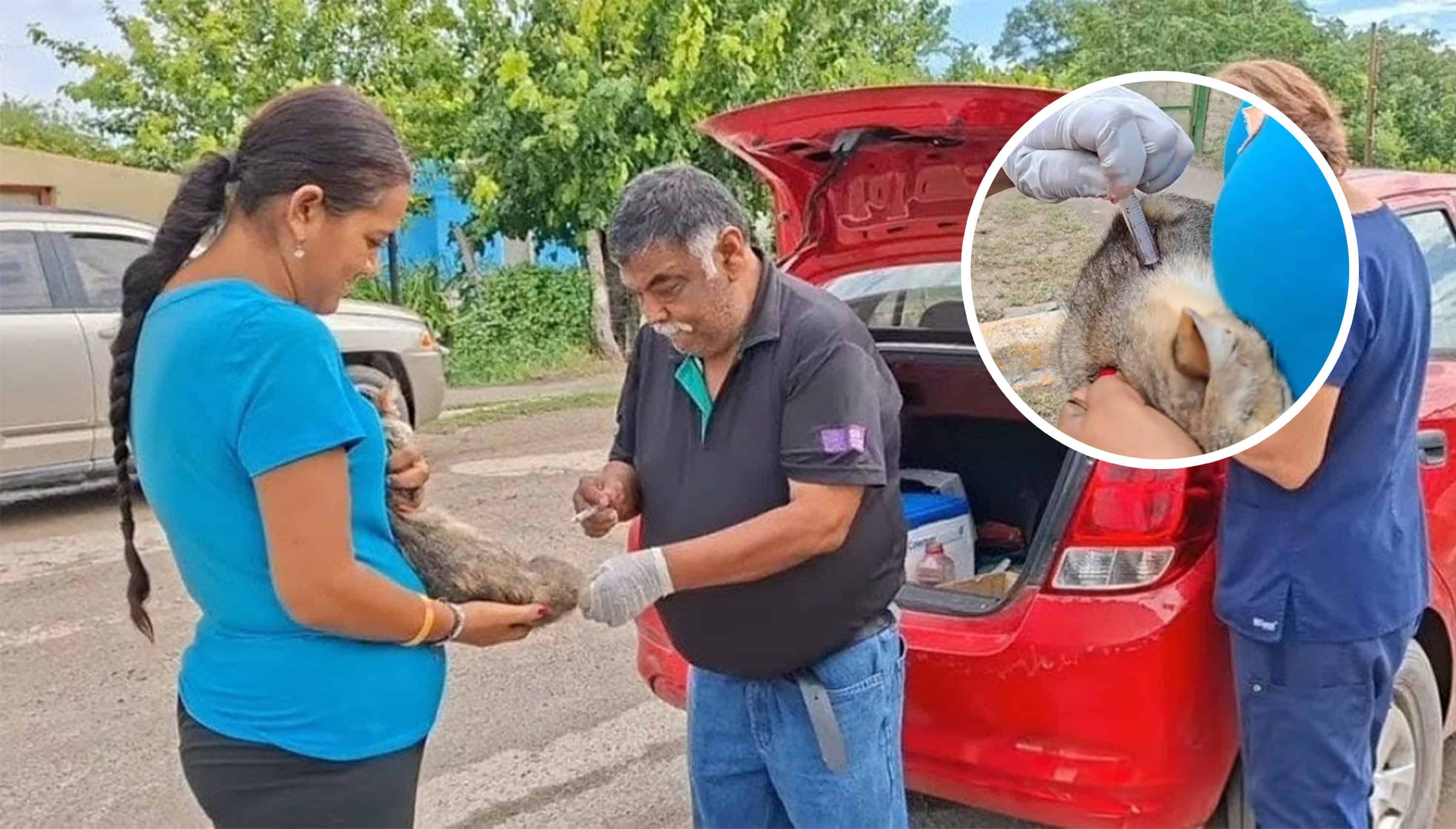 Familias participan en jornada gratuita de vacunaci&oacute;n y desparasitaci&oacute;n para mascotas en Zaragoza