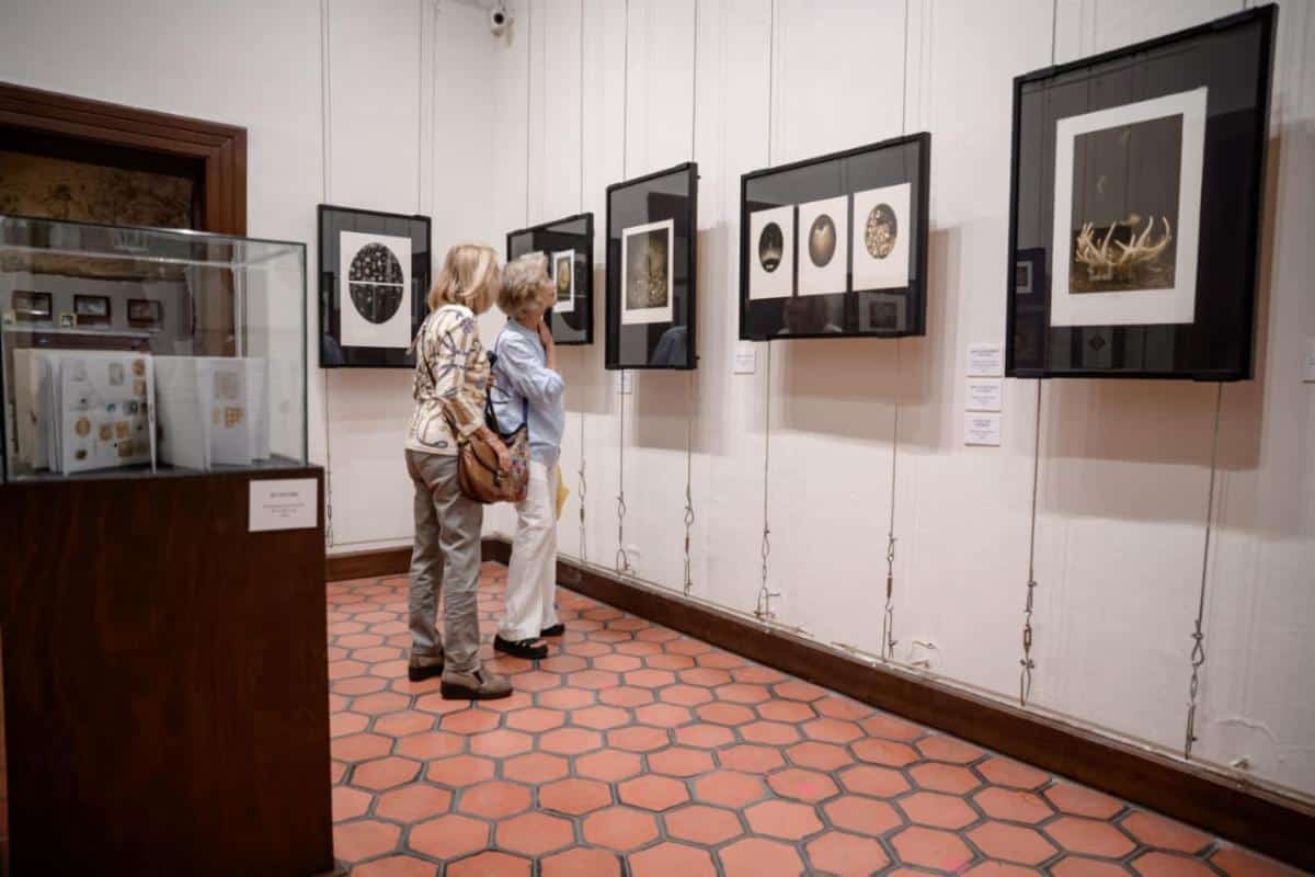 Saltillo promueve su riqueza cultural a trav&eacute;s de museos y actividades familiares